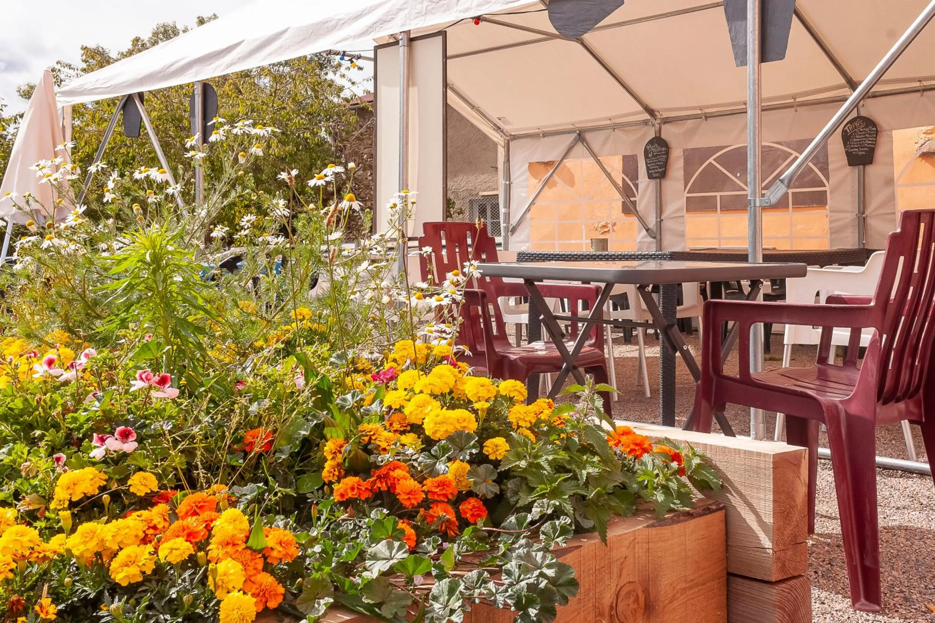 Patio in Le Catalan - Hôtel et appartements
