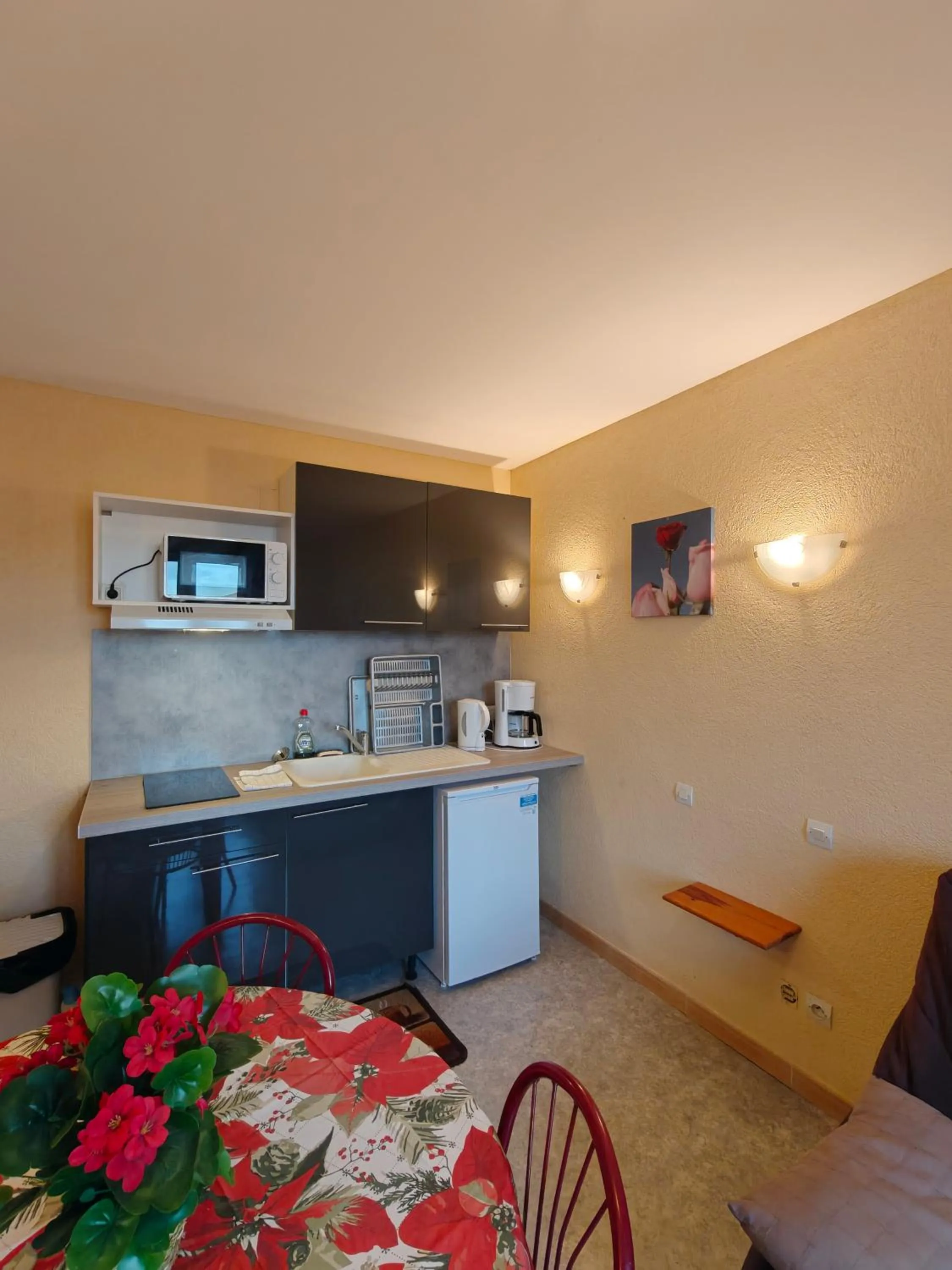 Kitchen or kitchenette in Le Catalan - Hôtel et appartements