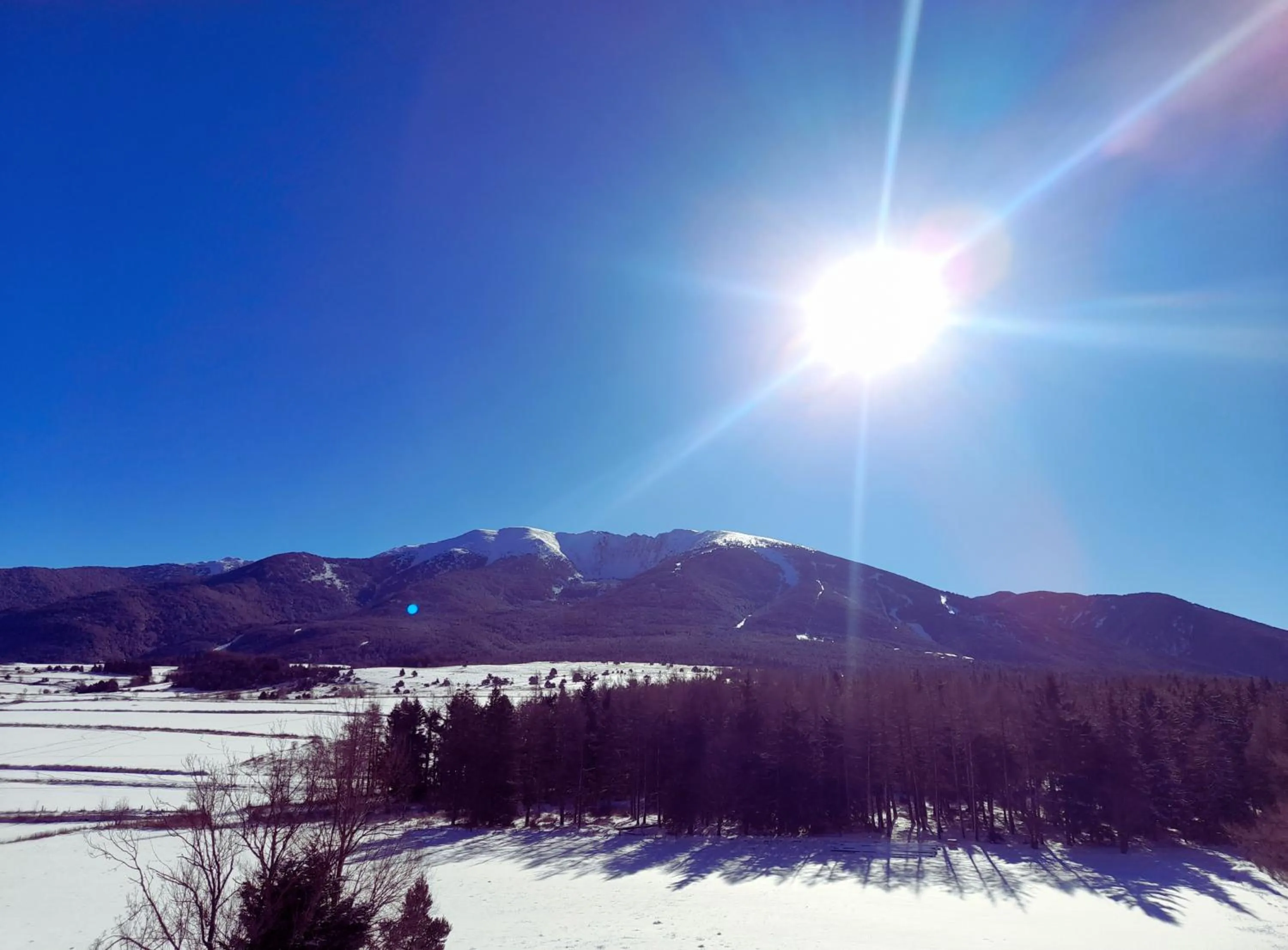 Day in Le Catalan - Hôtel et appartements