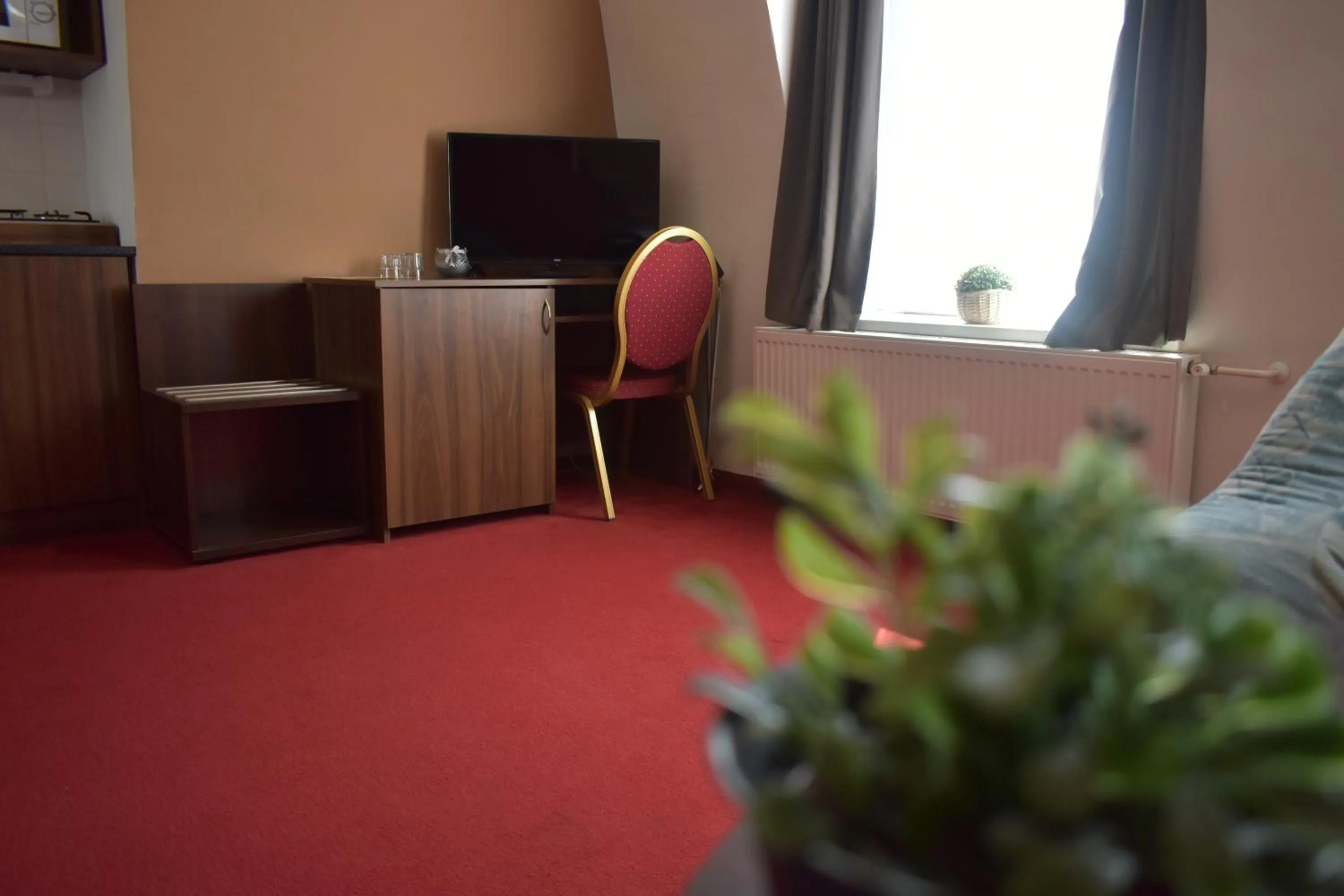 TV and multimedia in Hotel Černý Orel Žatec