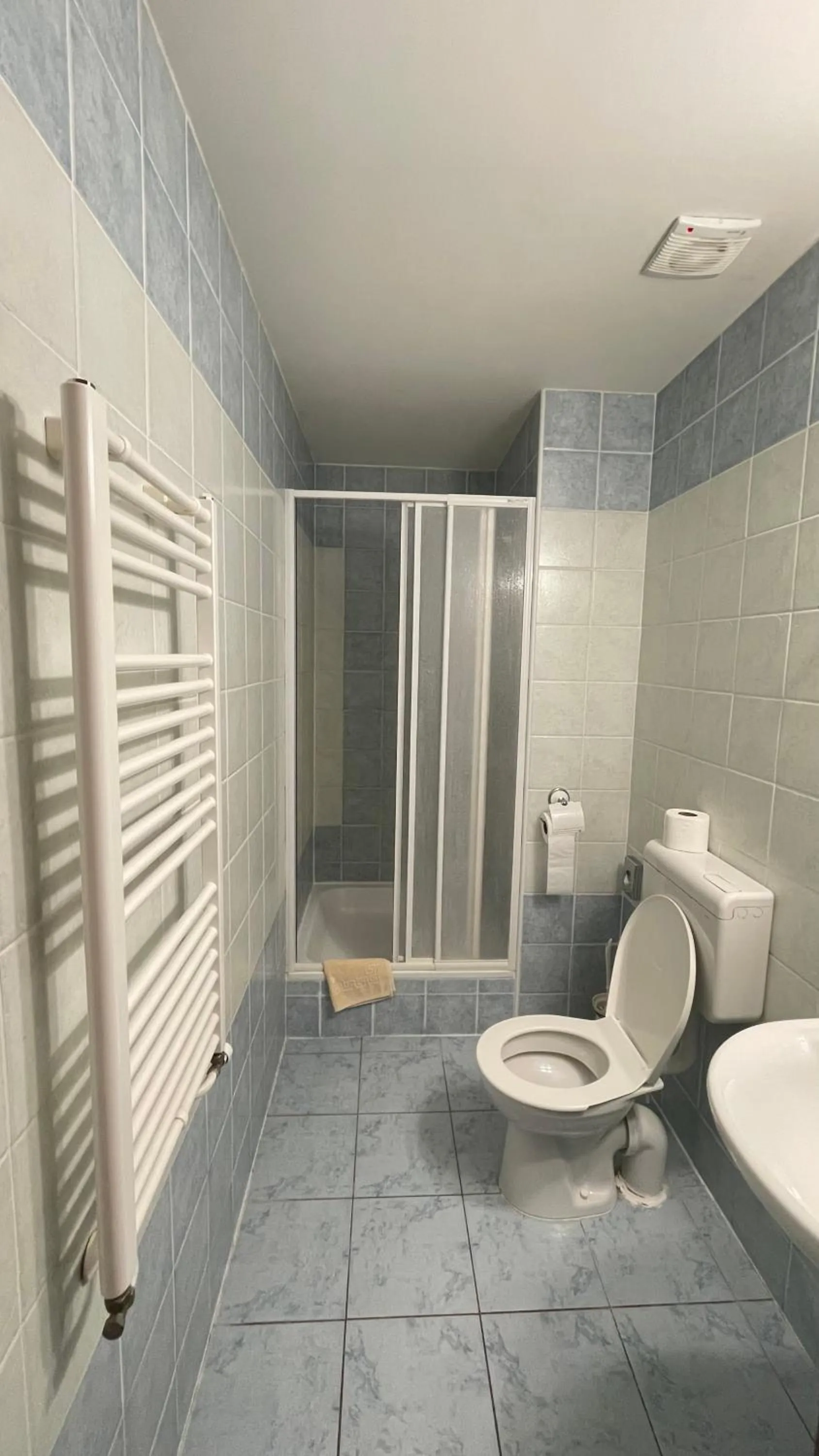 Bathroom in Hotel Černý Orel Žatec