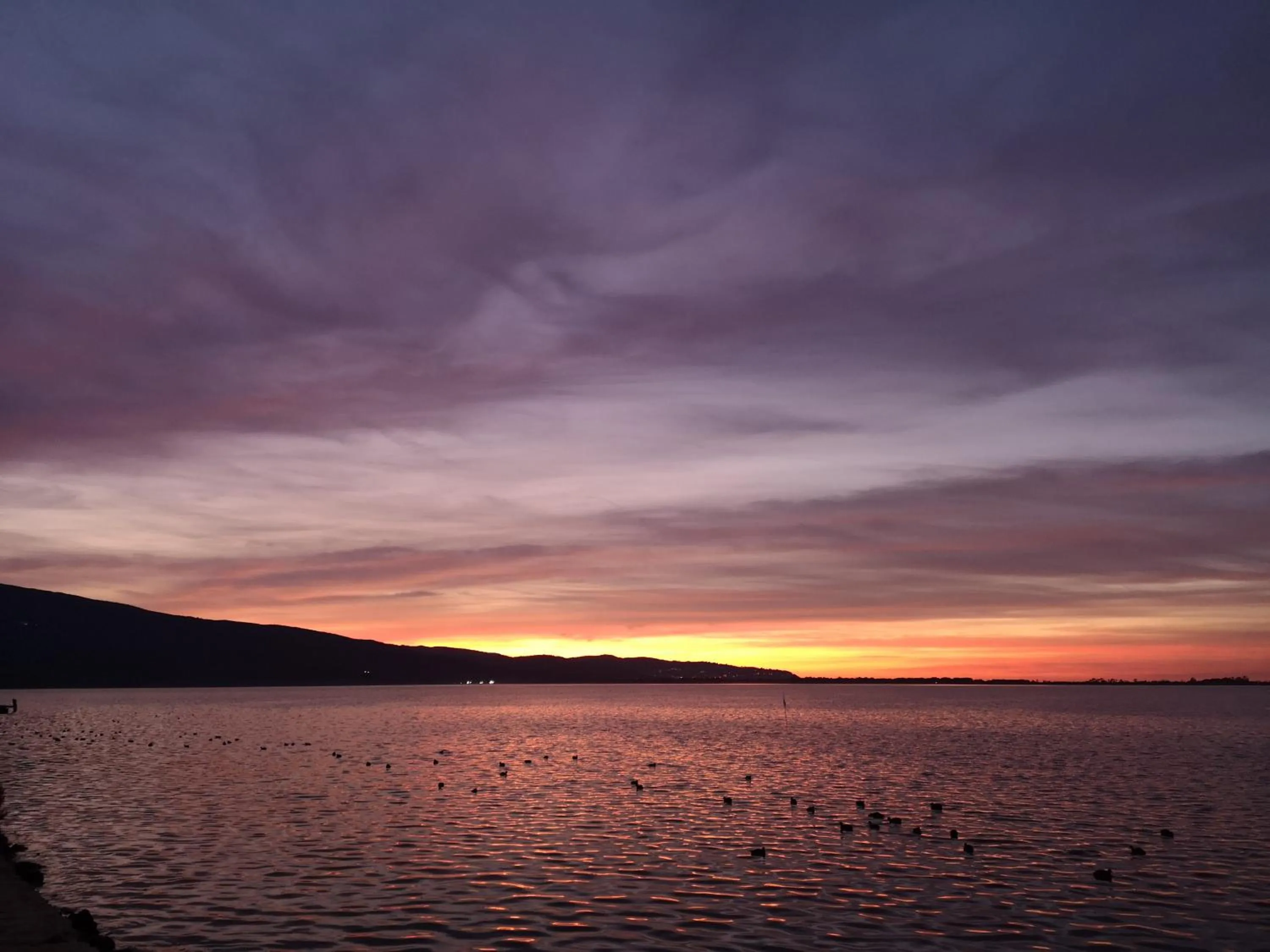 Natural landscape in Hotel Conchiglia