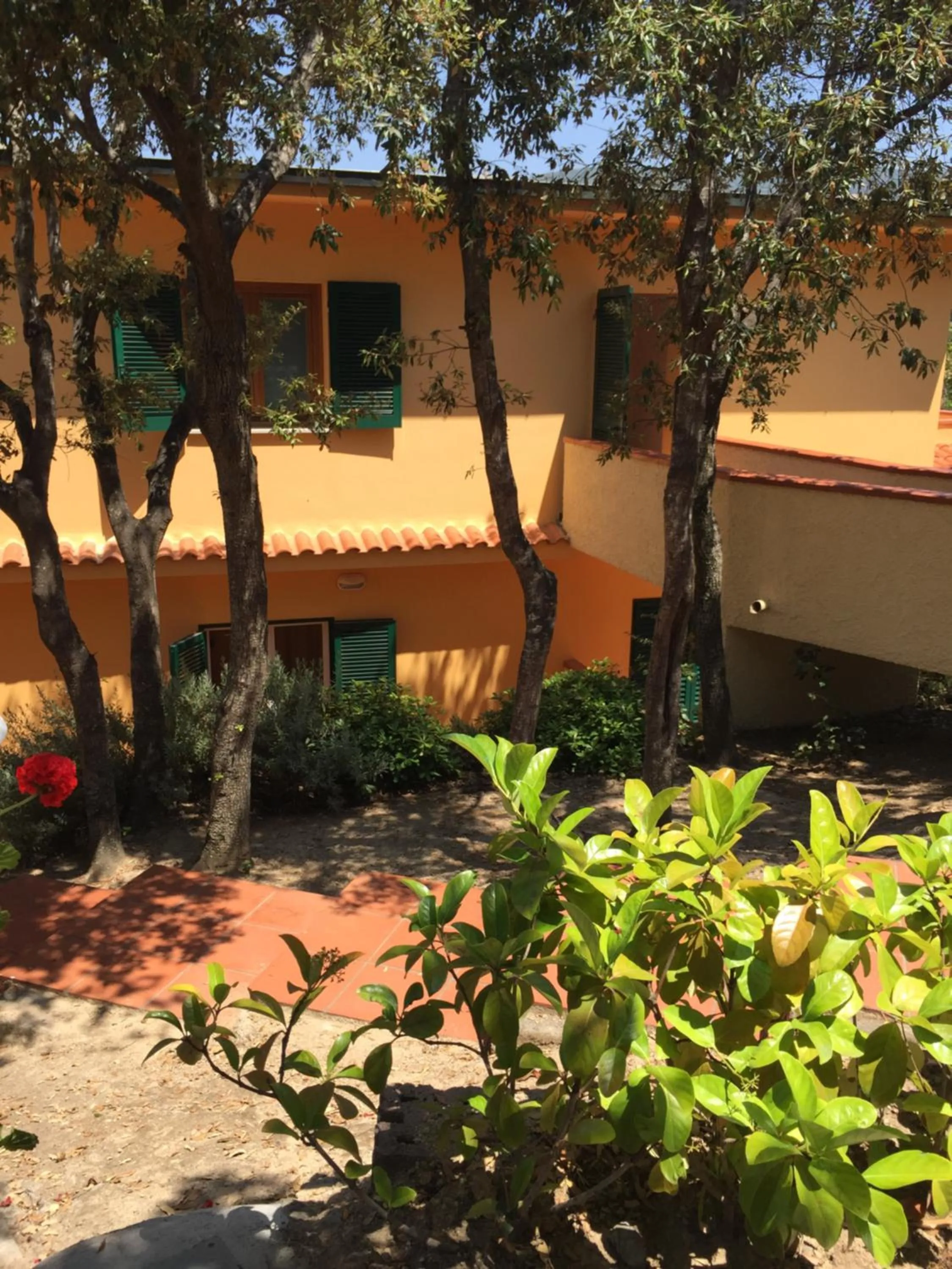 Garden view in Hotel La Perla Del Golfo