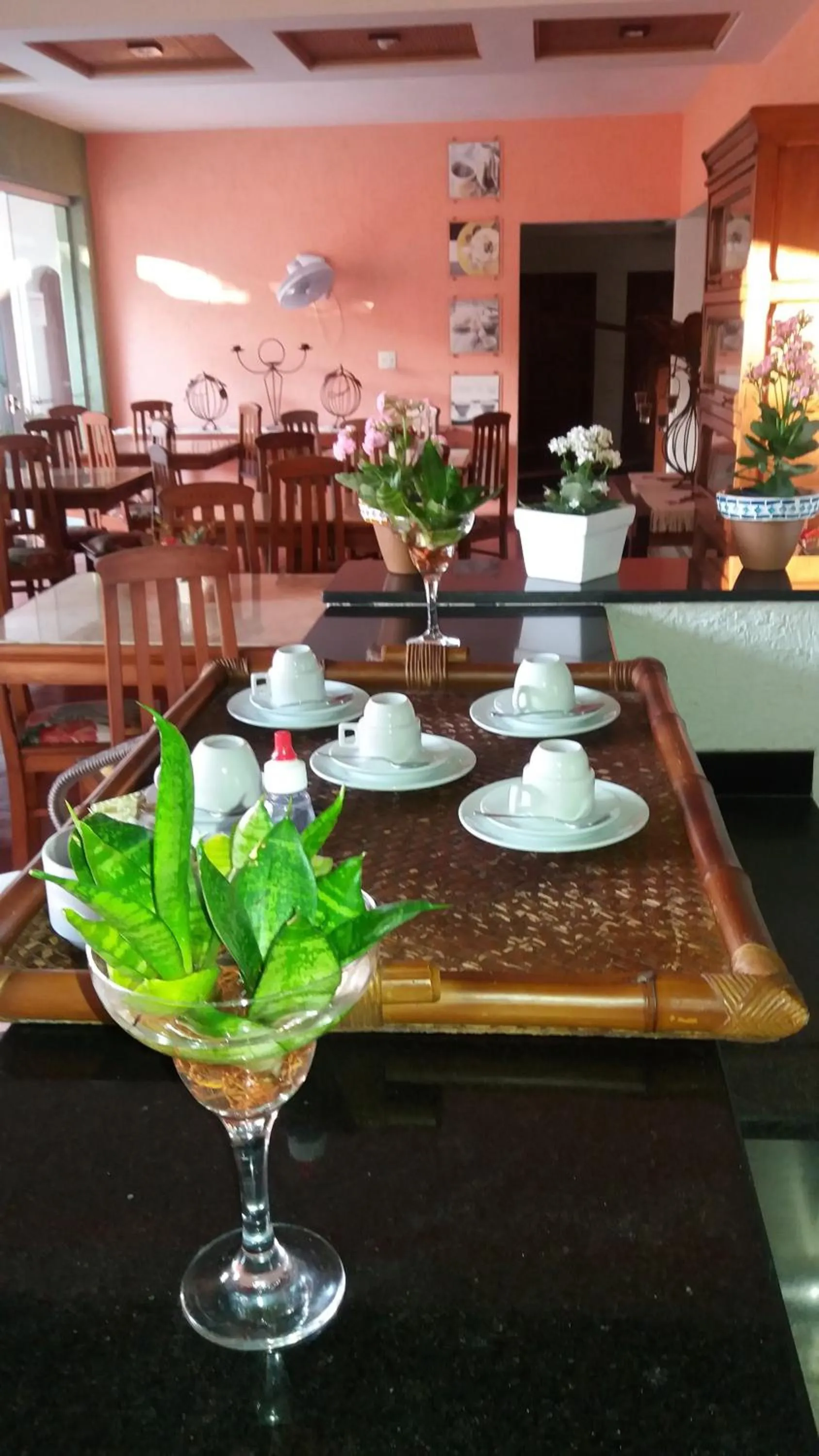 Coffee/tea facilities in Pousada Brasil Nativo