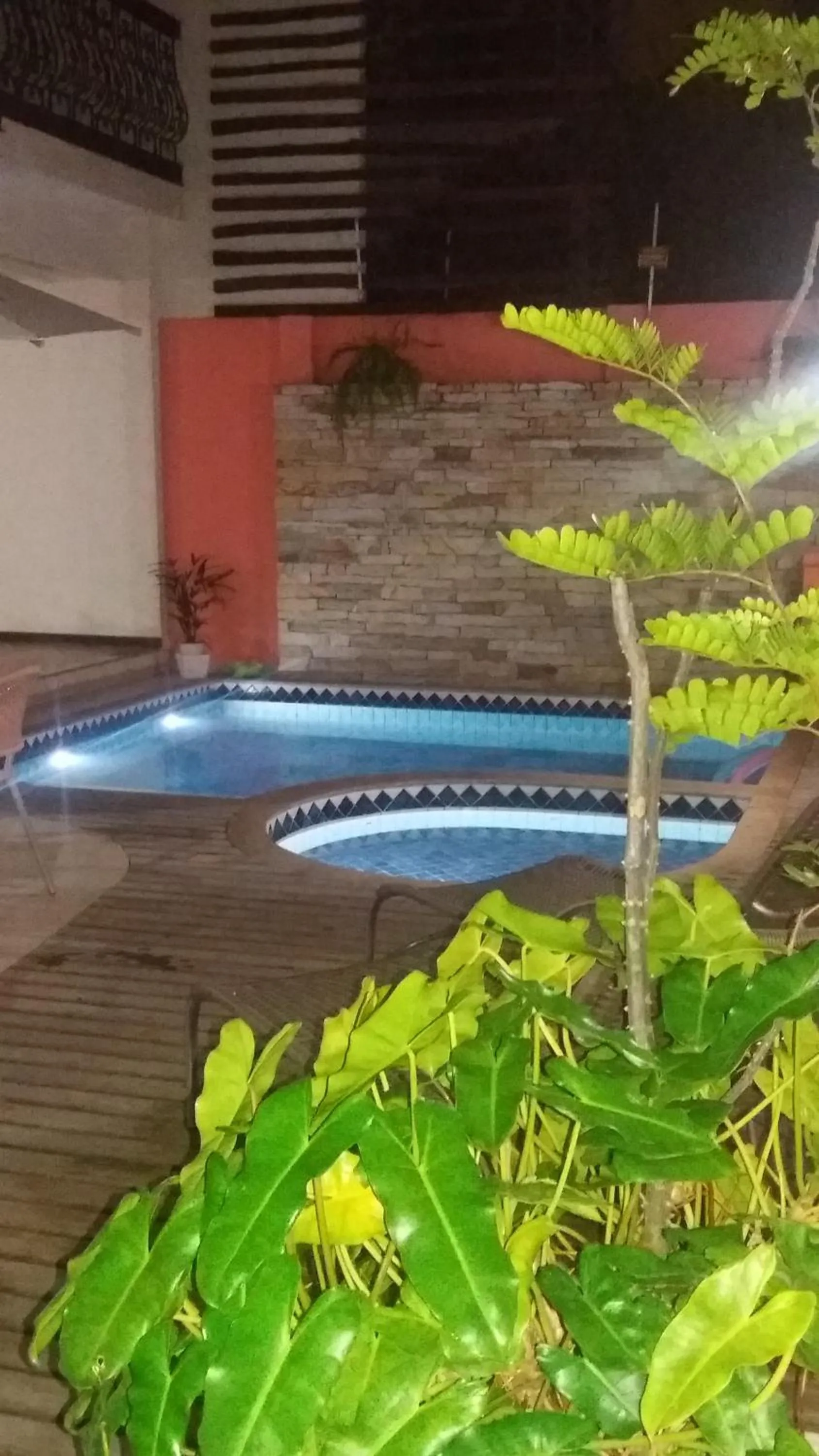 Swimming pool in Pousada Brasil Nativo