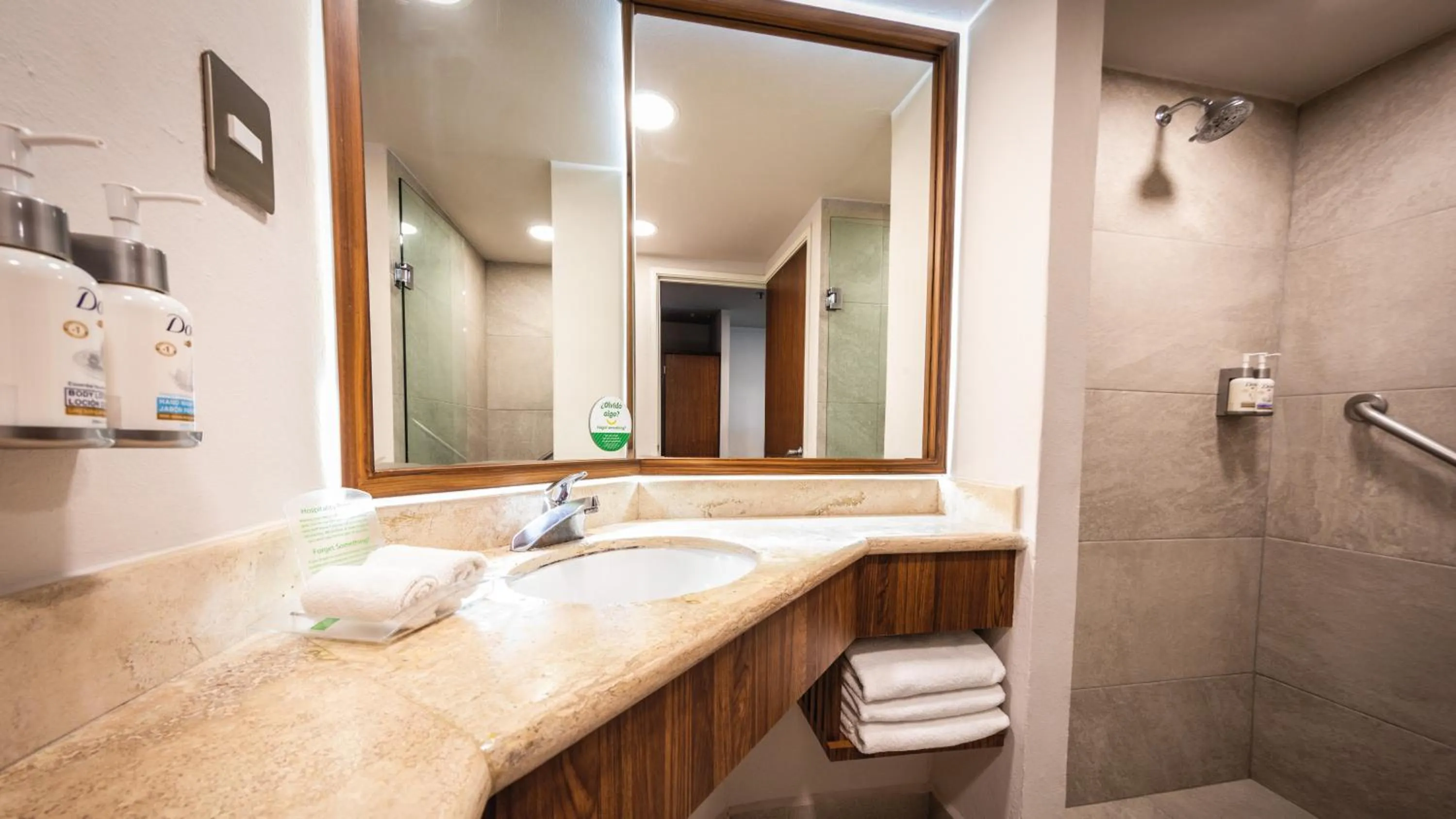 Bathroom in Holiday Inn Orizaba by IHG