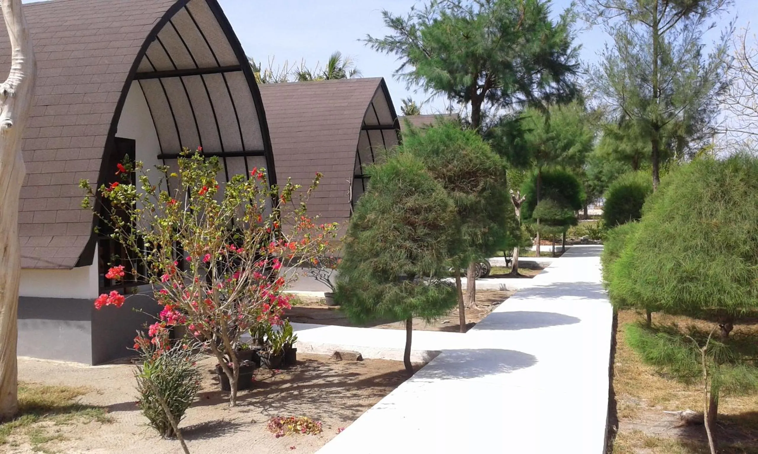 Garden in Nusa Indah Bungalows