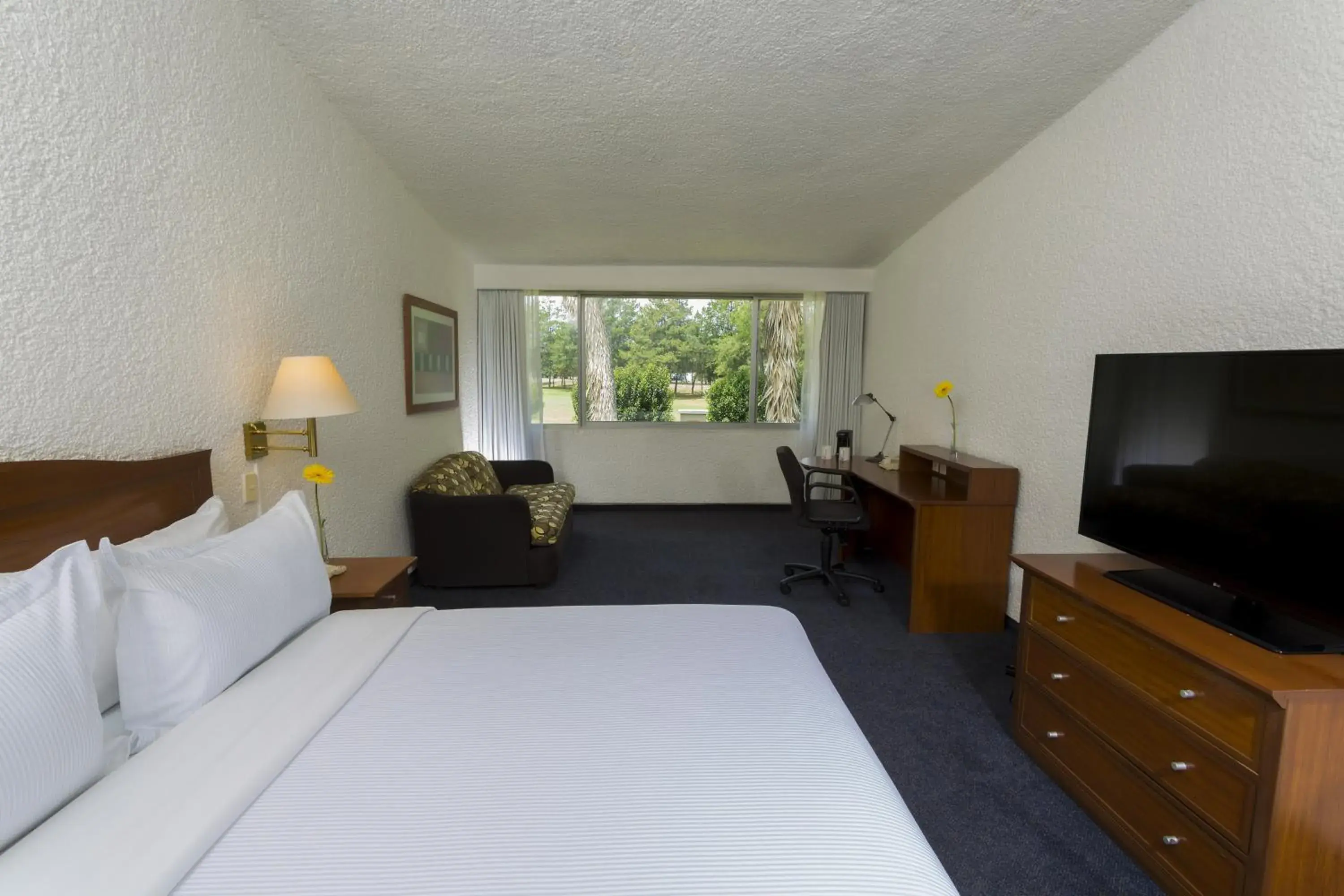 King Room in Gamma Pachuca King Room in Gamma Pachuca