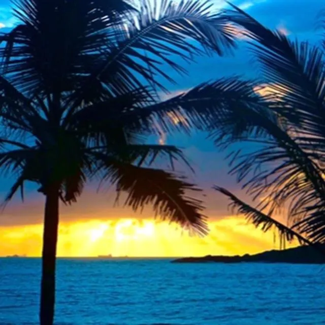 Natural landscape in Hotel da Praia
