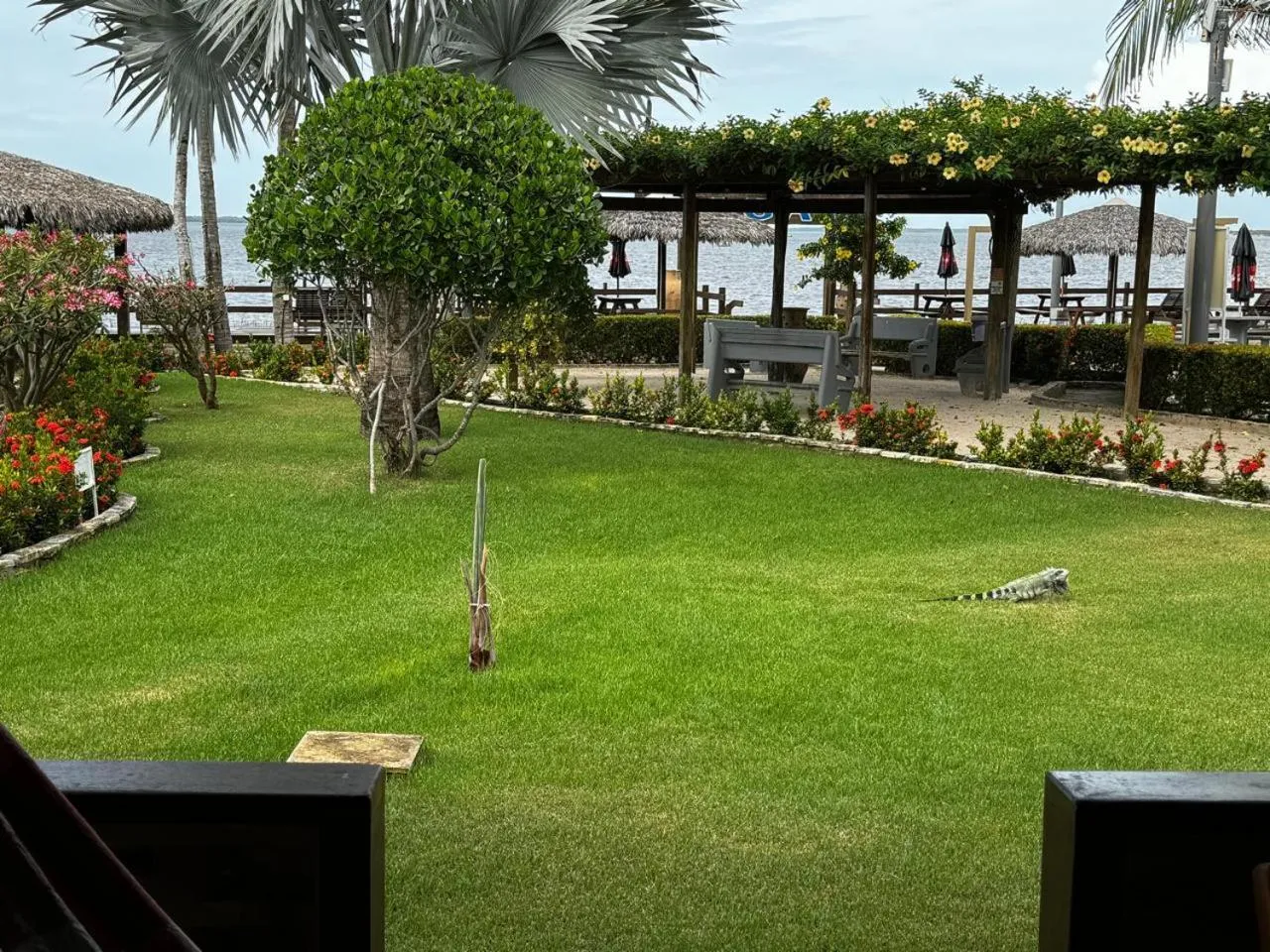 Garden in Pousada Jagatá