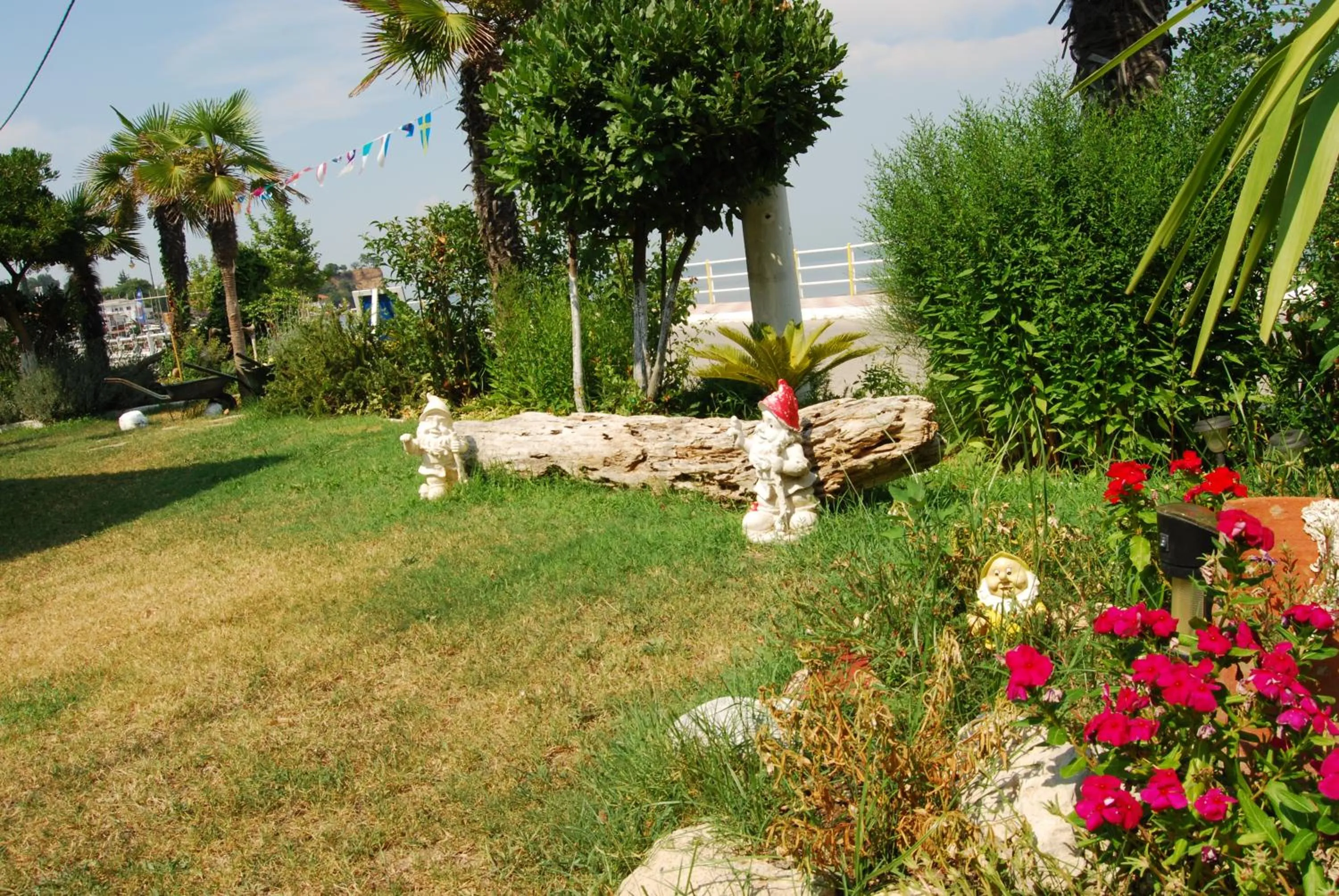 Garden in Hotel Achillion