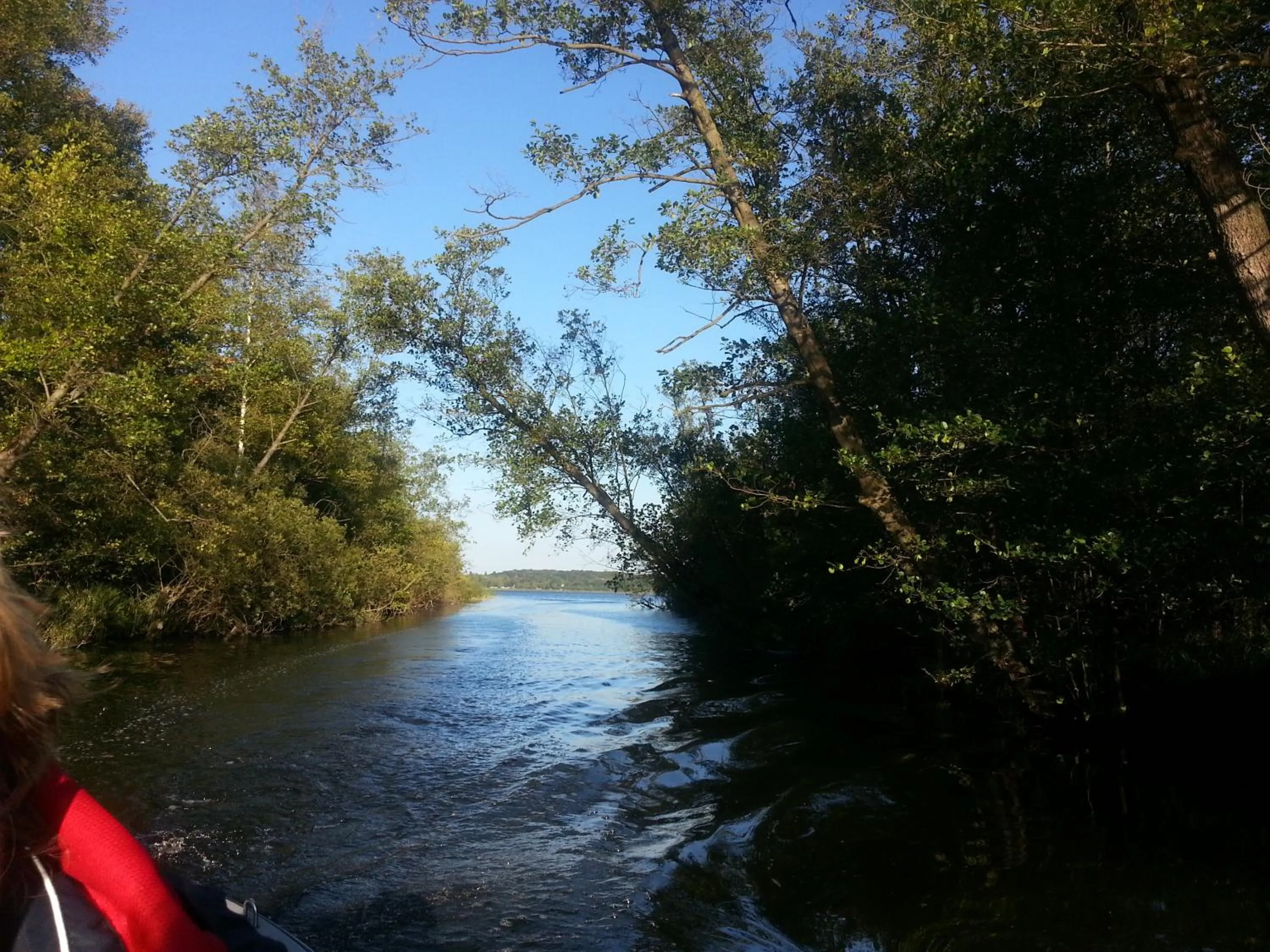 Natural landscape in Landhotel Cafe Prälank