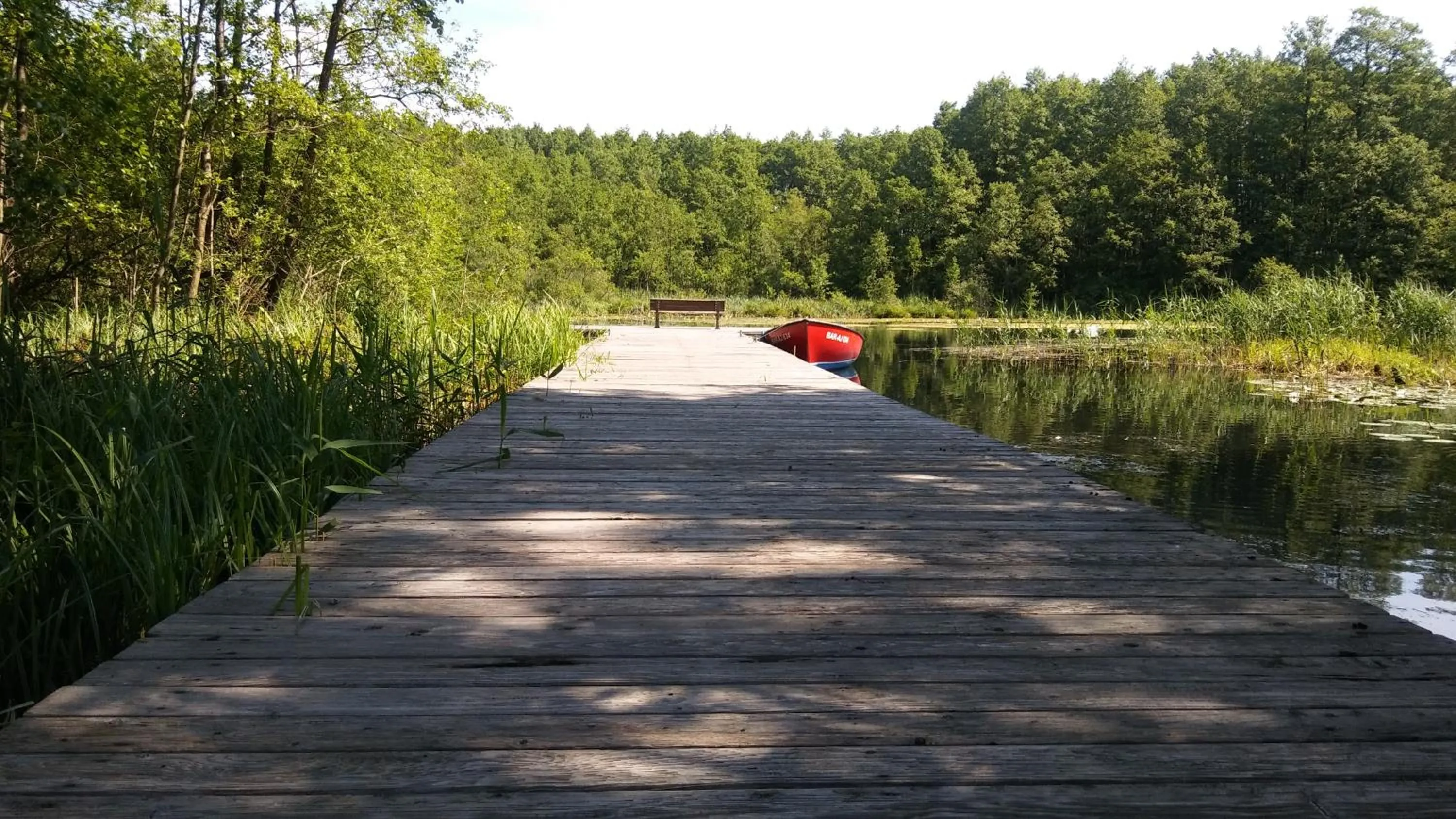 Natural landscape in Landhotel Cafe Prälank