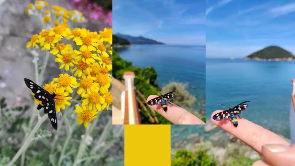 Spring in Hotel Scoglio Bianco