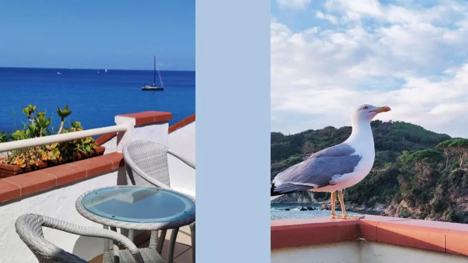 Day in Hotel Scoglio Bianco