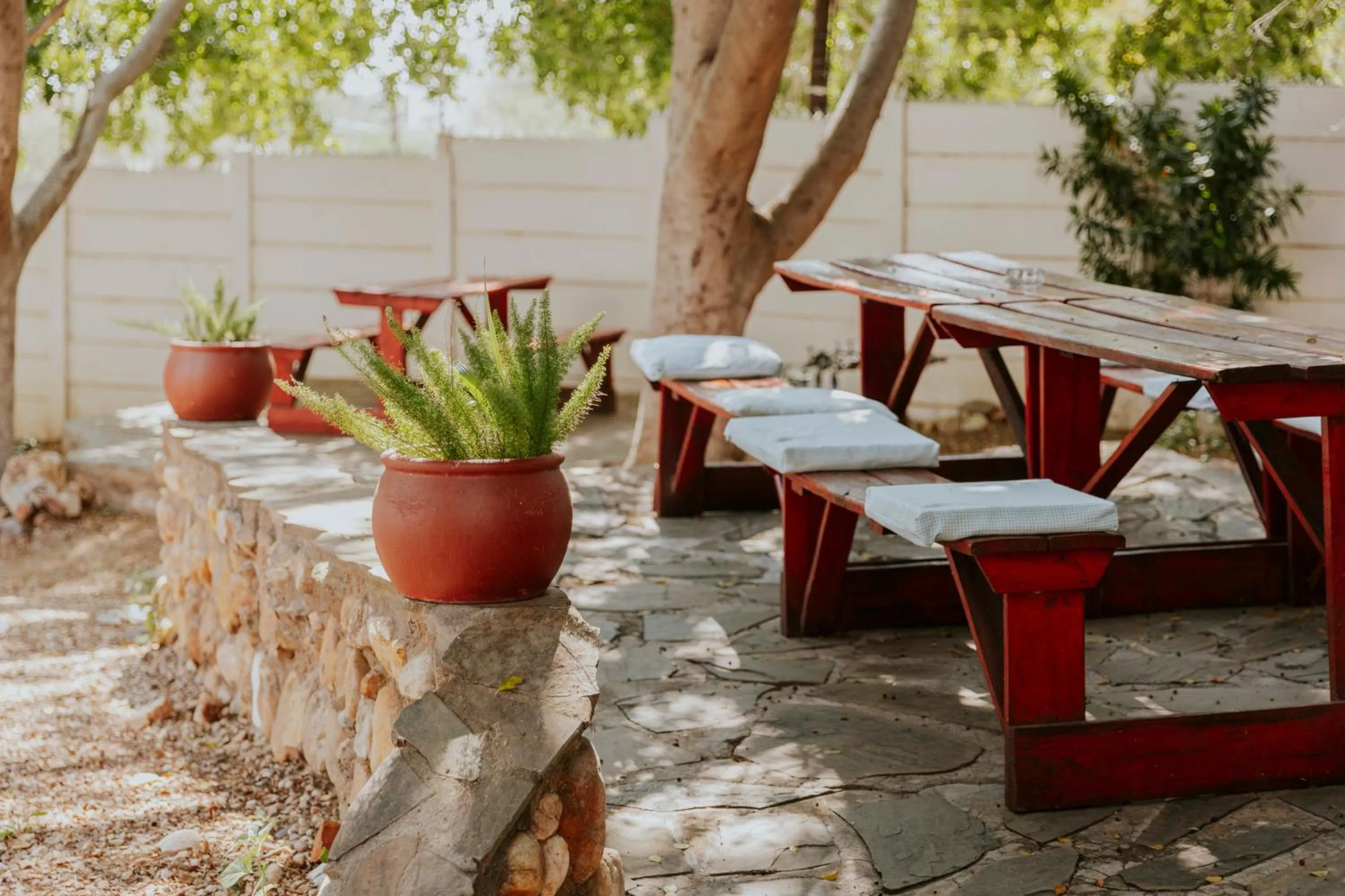 Garden in Hotel Uhland