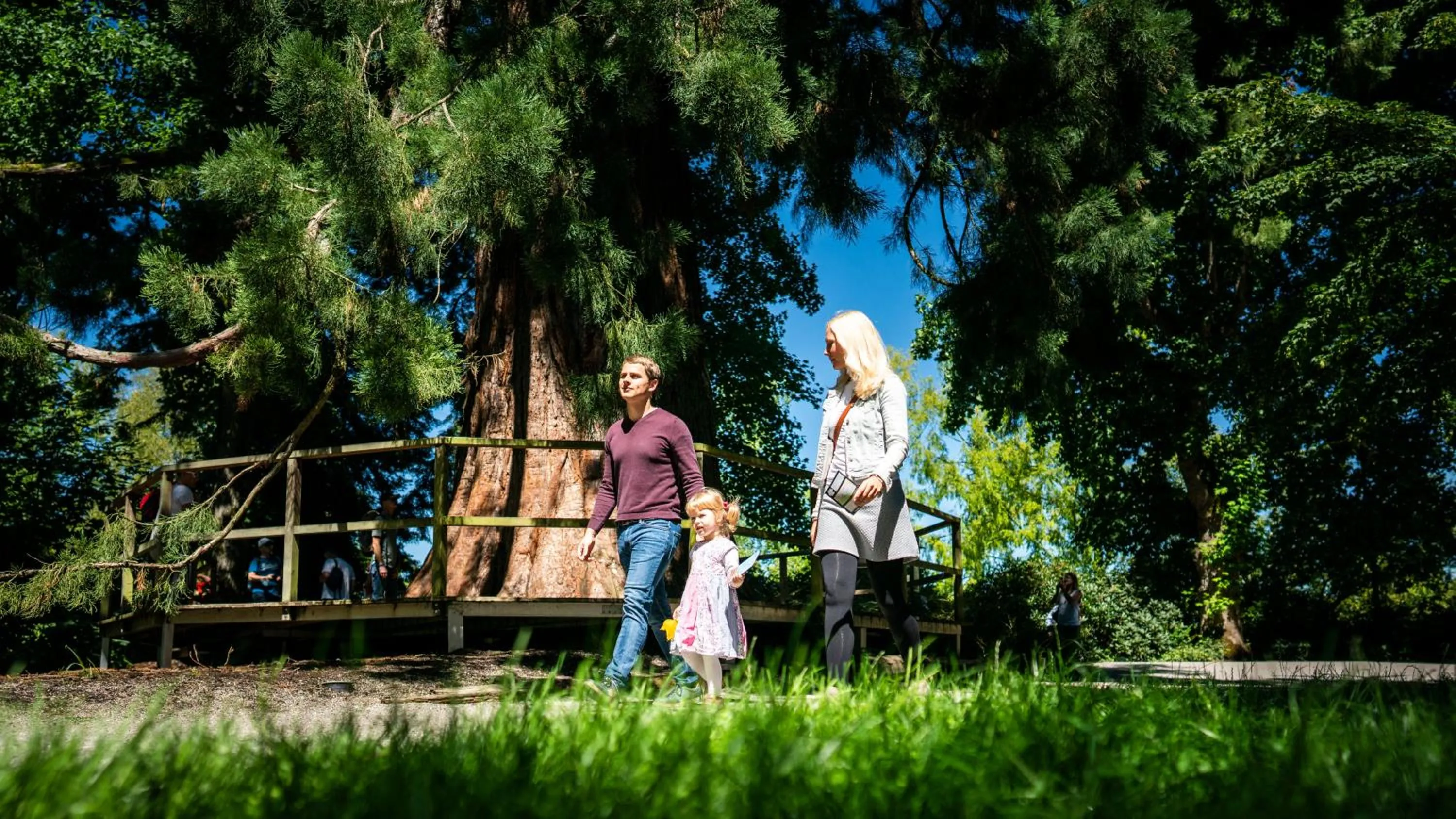 Area and facilities in JUFA Hotel Meersburg am Bodensee