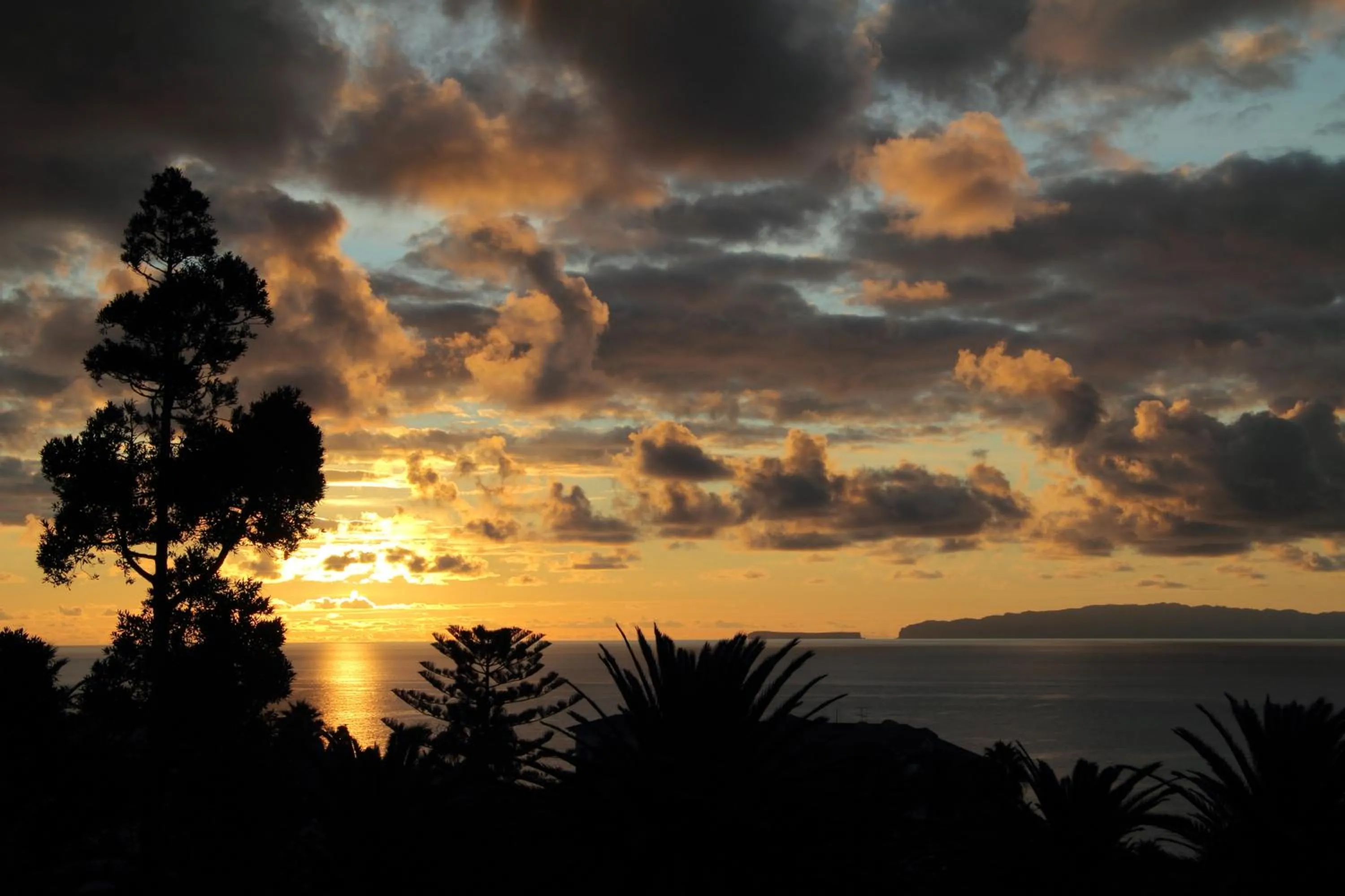 Area and facilities in Canico Bay Apartments