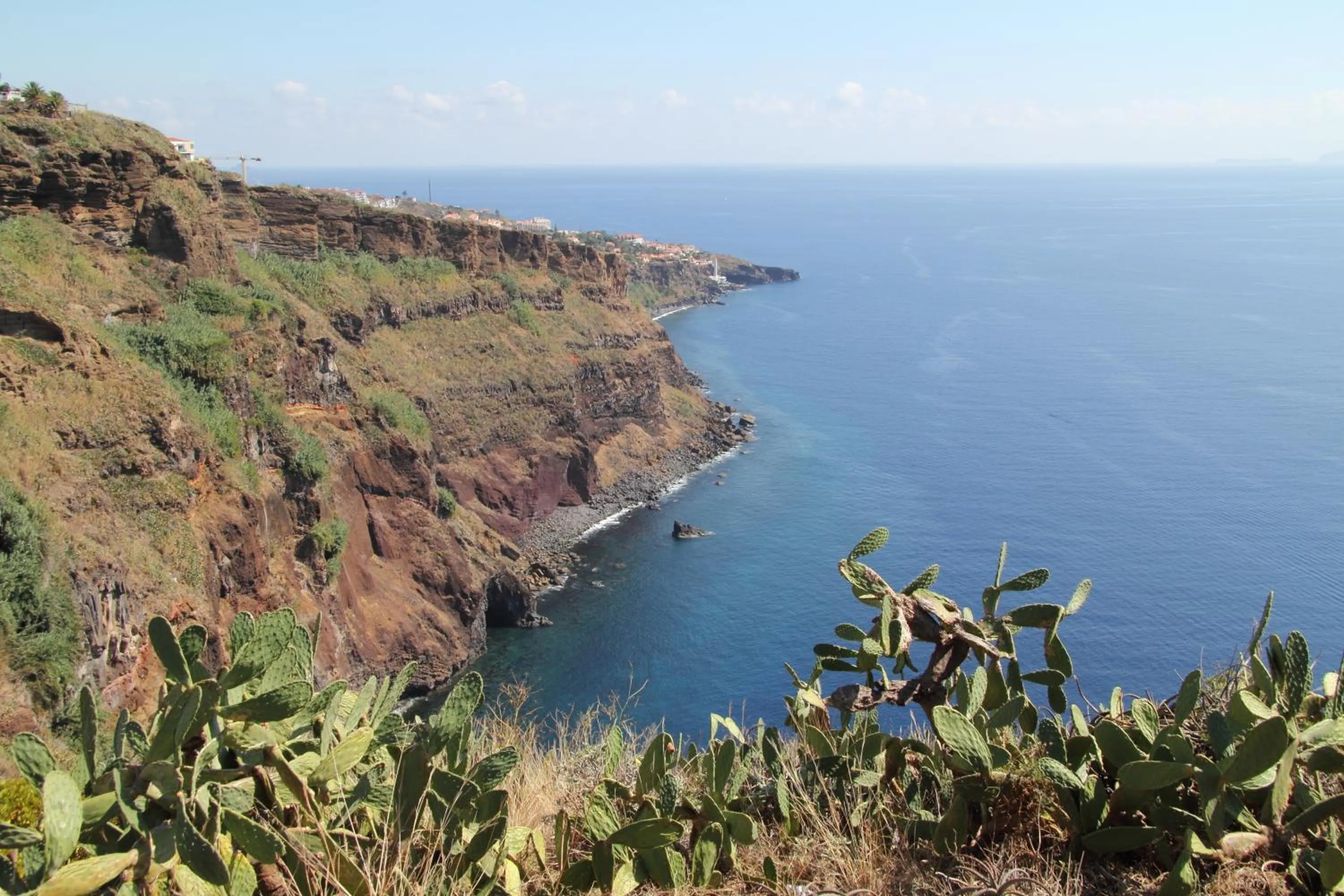 Area and facilities in Canico Bay Apartments