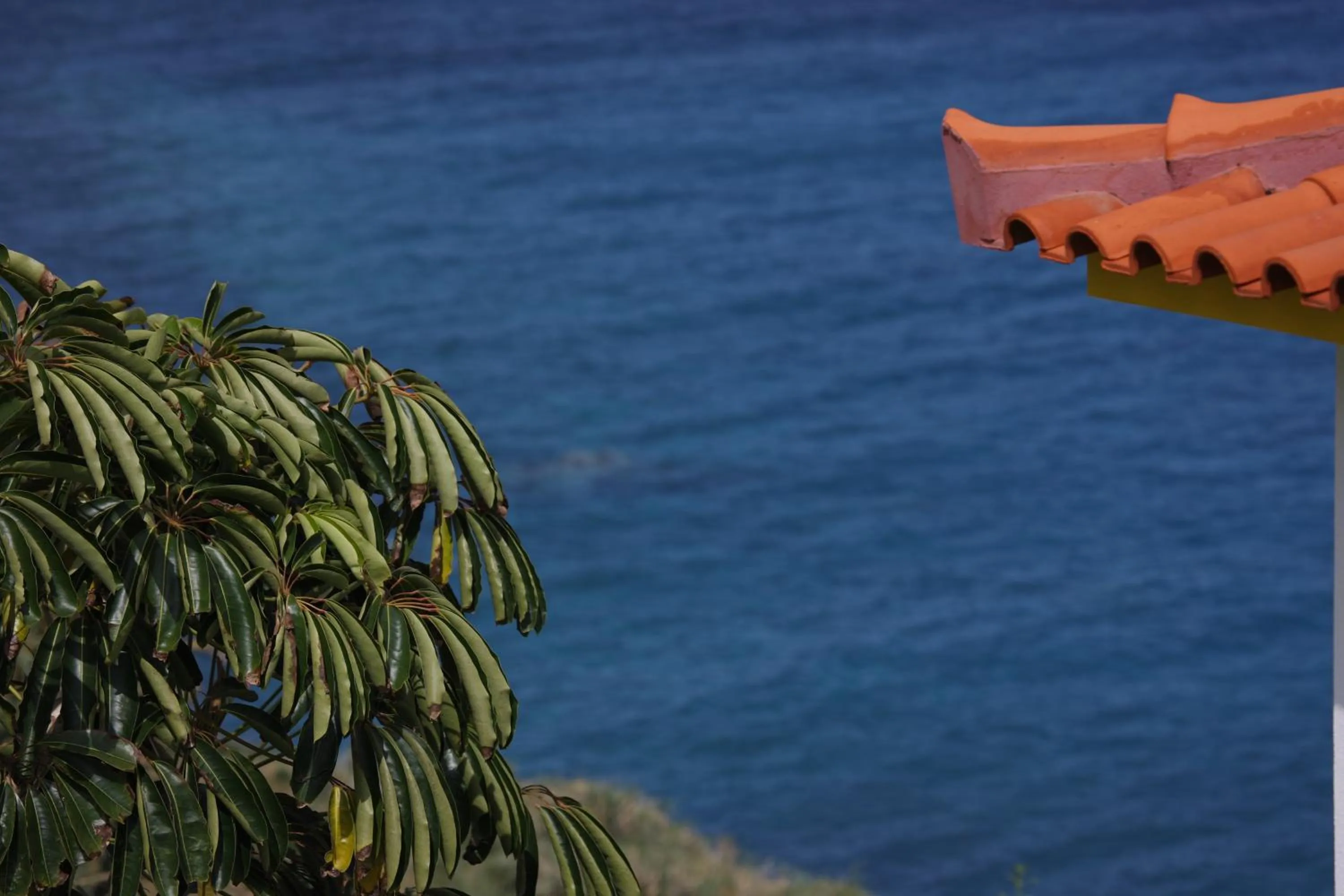 Balcony/Terrace in Canico Bay Apartments