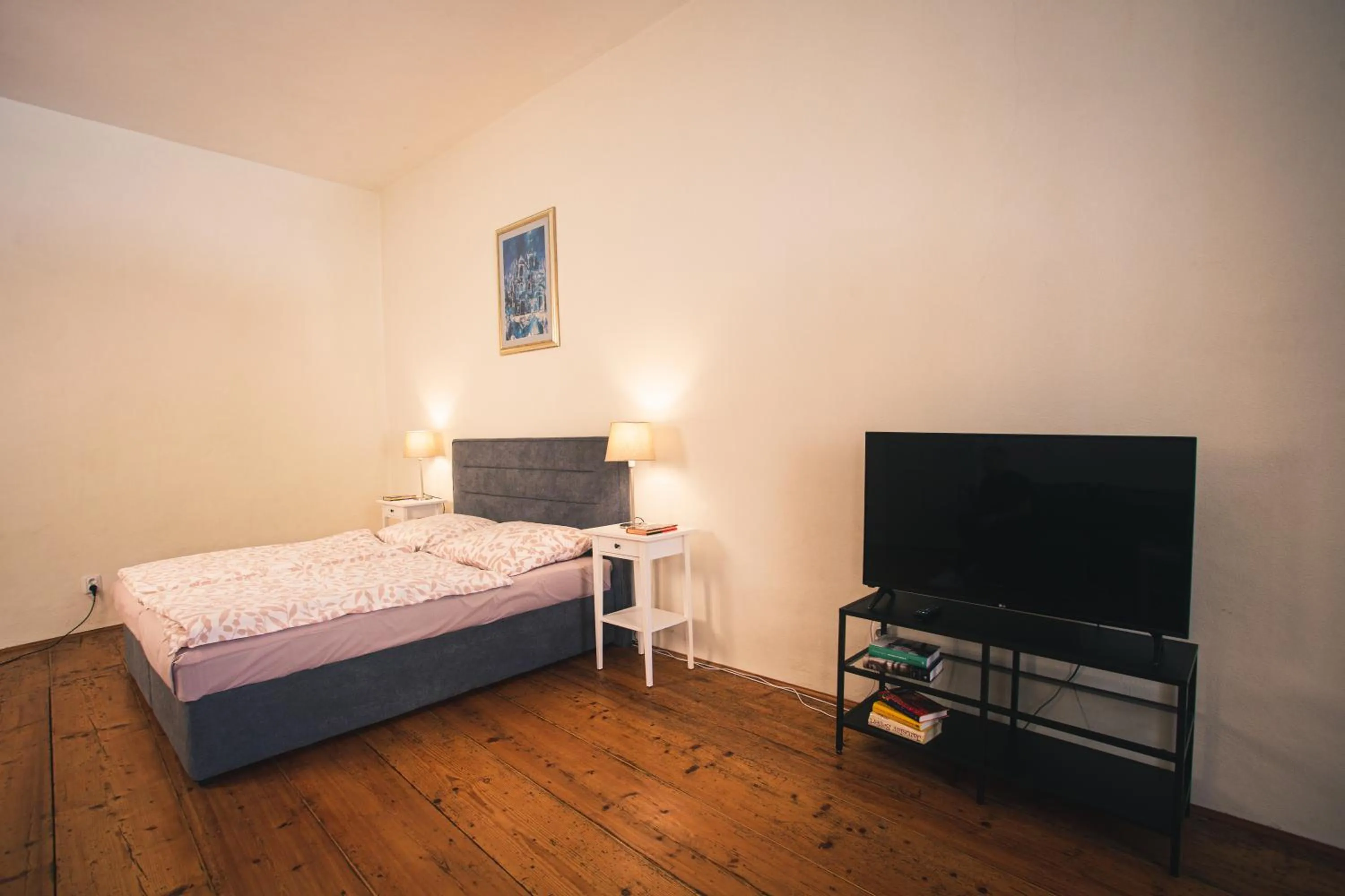 Photo of the whole room, Bed in Downtown Apartments