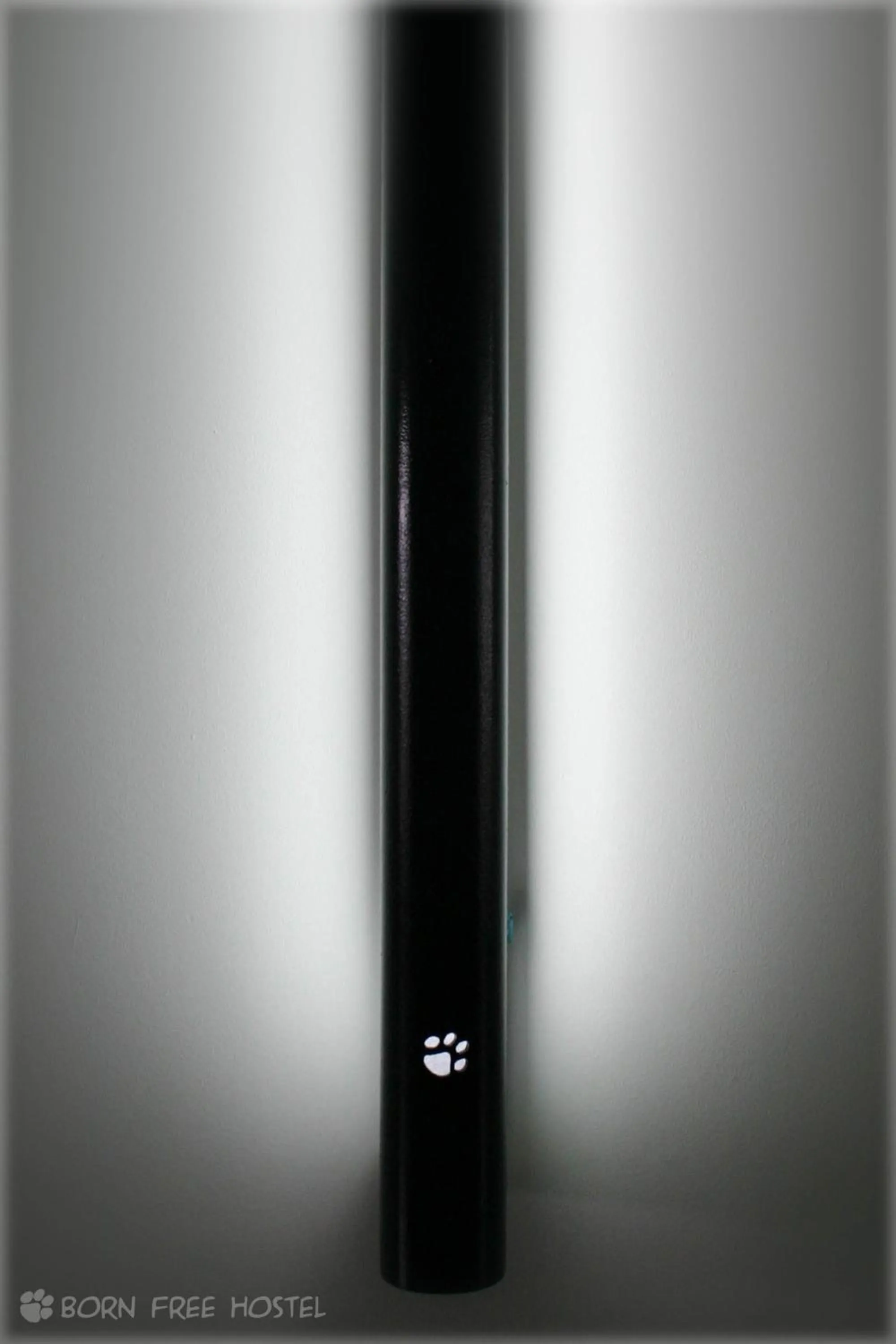 Decorative detail in Born Free Hostel