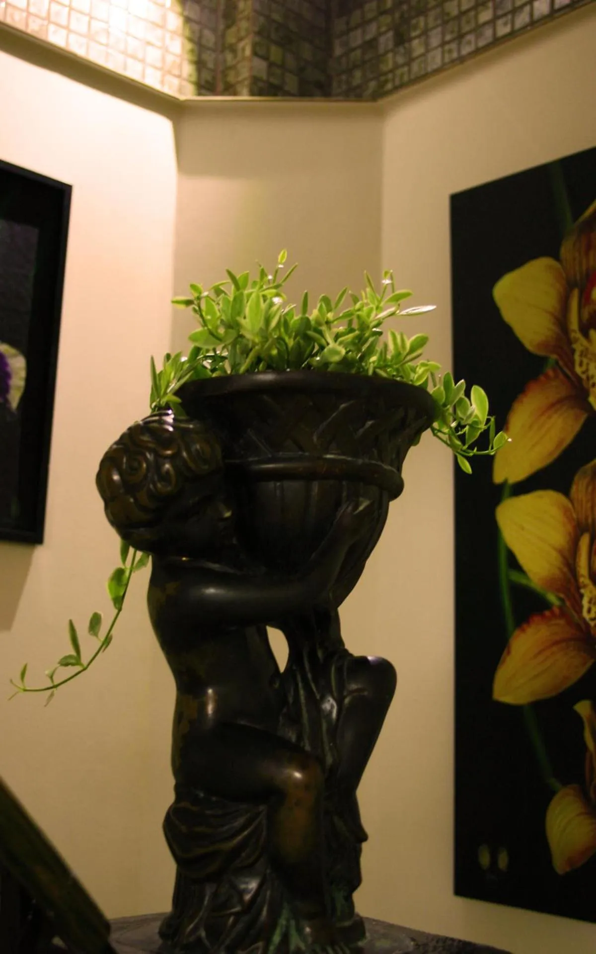 Decorative detail in Born Free Hostel