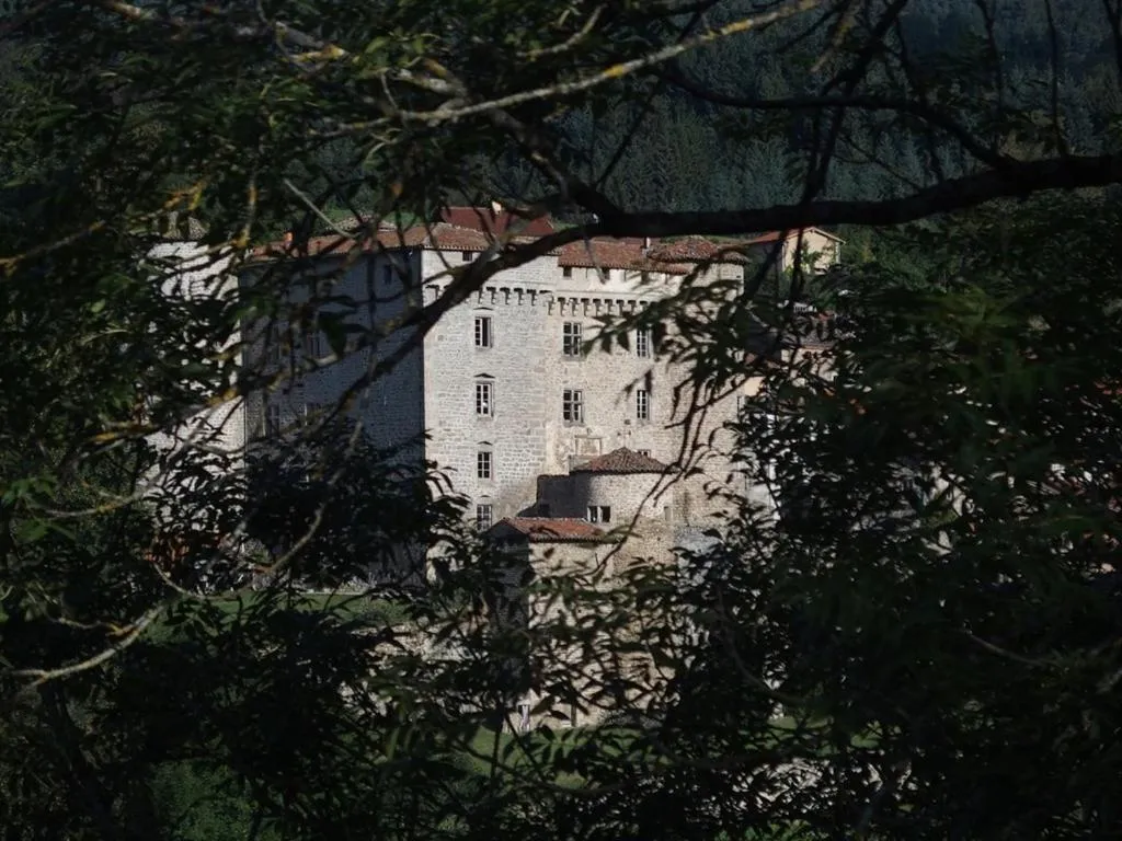 Property building in Château des Marcilly Talaru