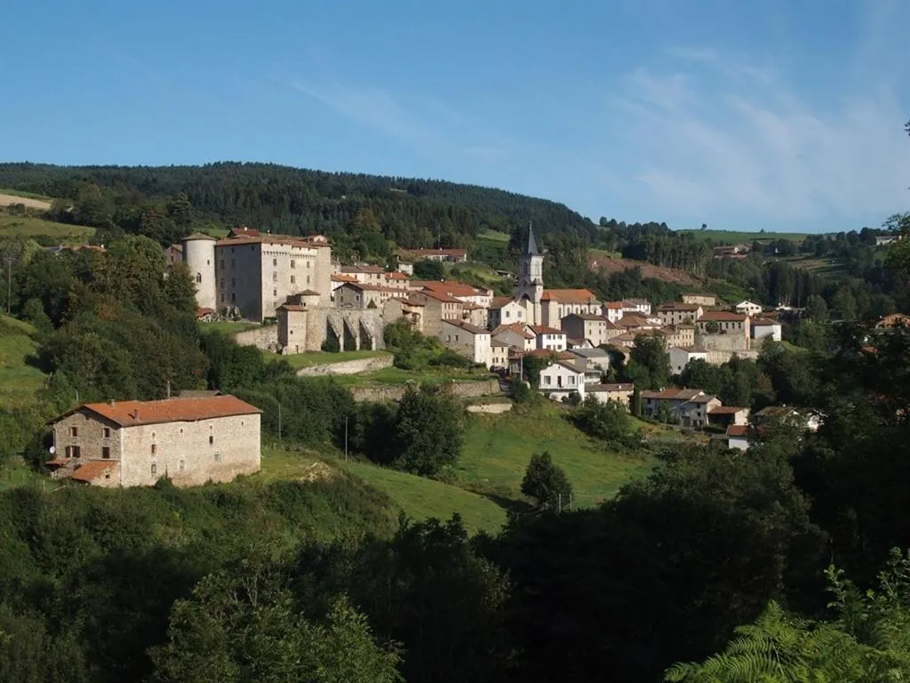 Property building in Château des Marcilly Talaru