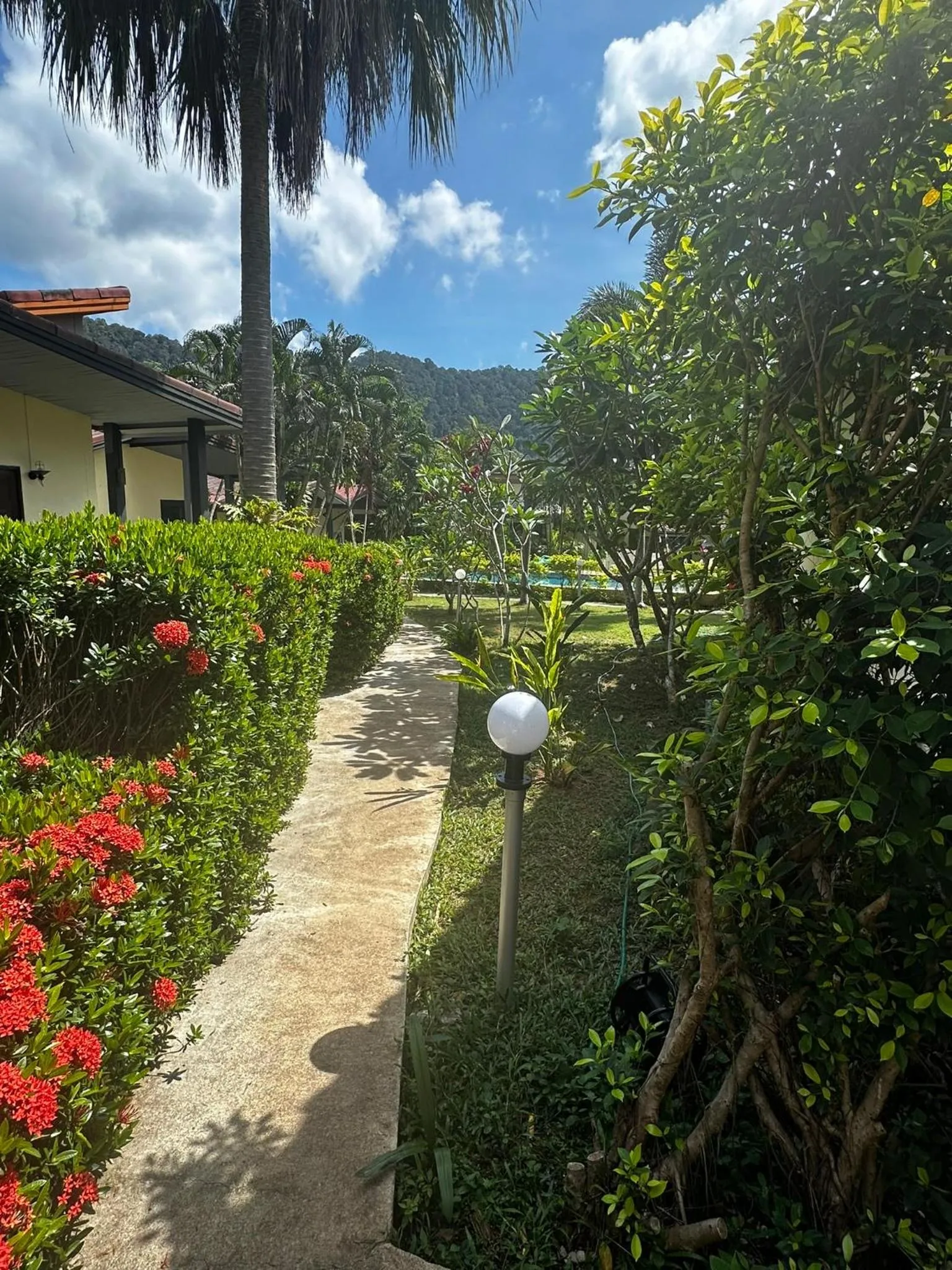 Natural landscape in Escape-Cabins