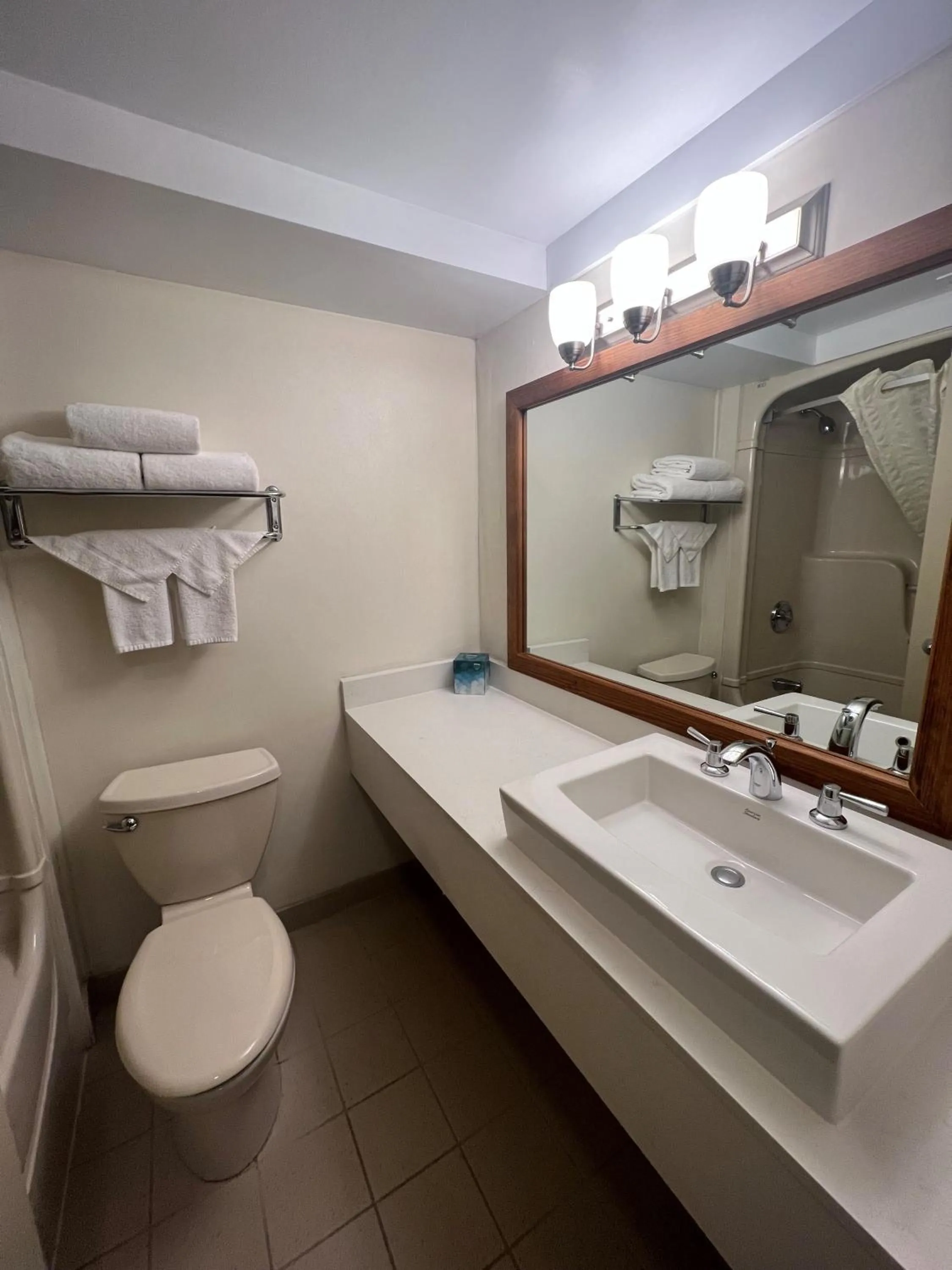 Toilet in Hidden Valley Resort, an Ascend Collection Resort