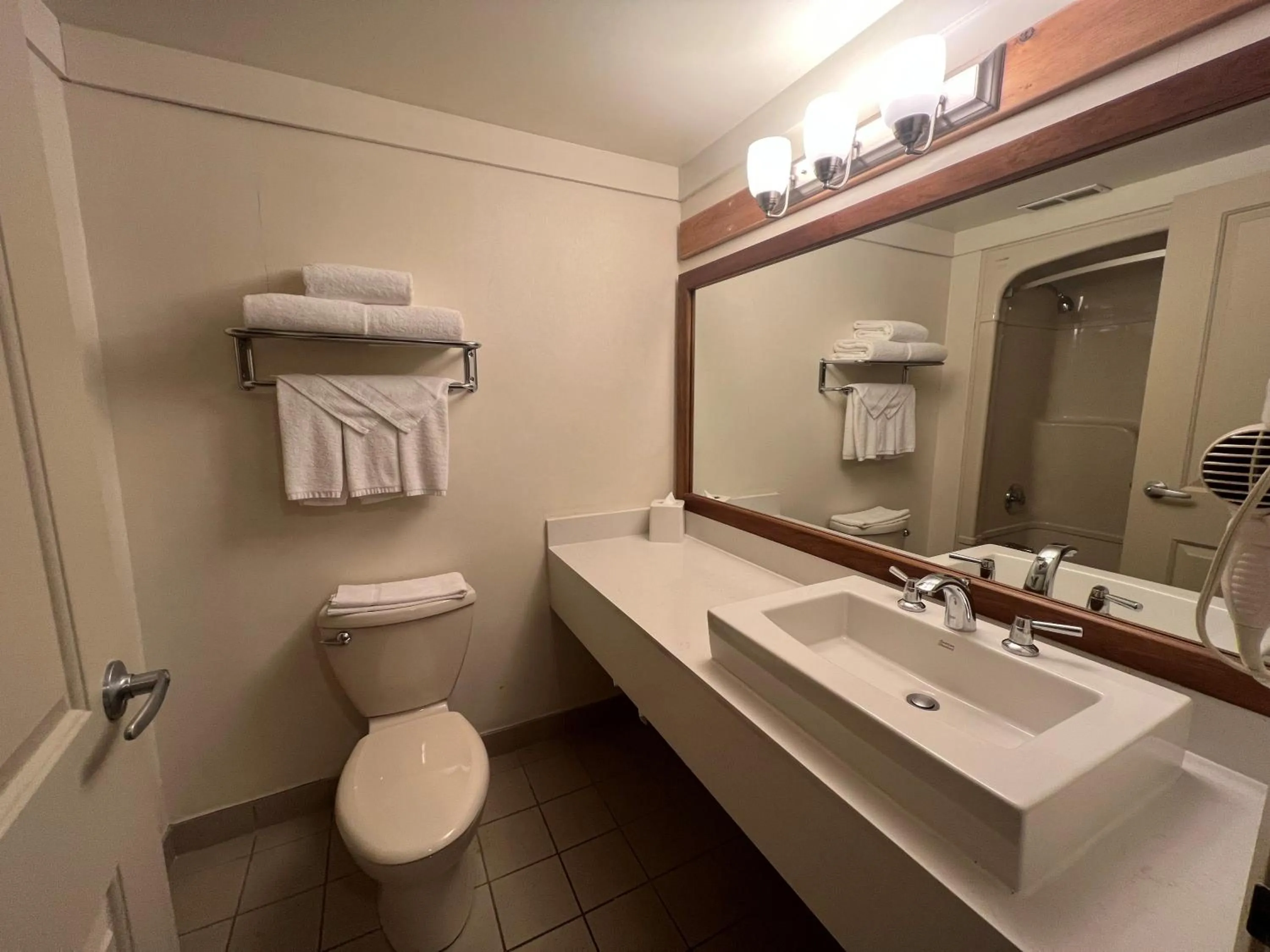 Toilet in Hidden Valley Resort, an Ascend Collection Resort