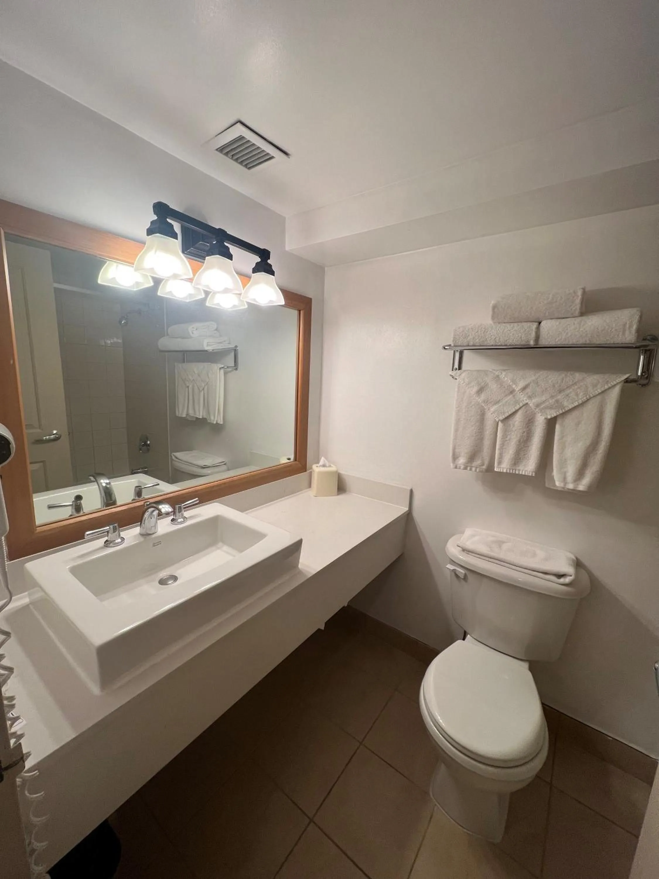 Toilet in Hidden Valley Resort, an Ascend Collection Resort