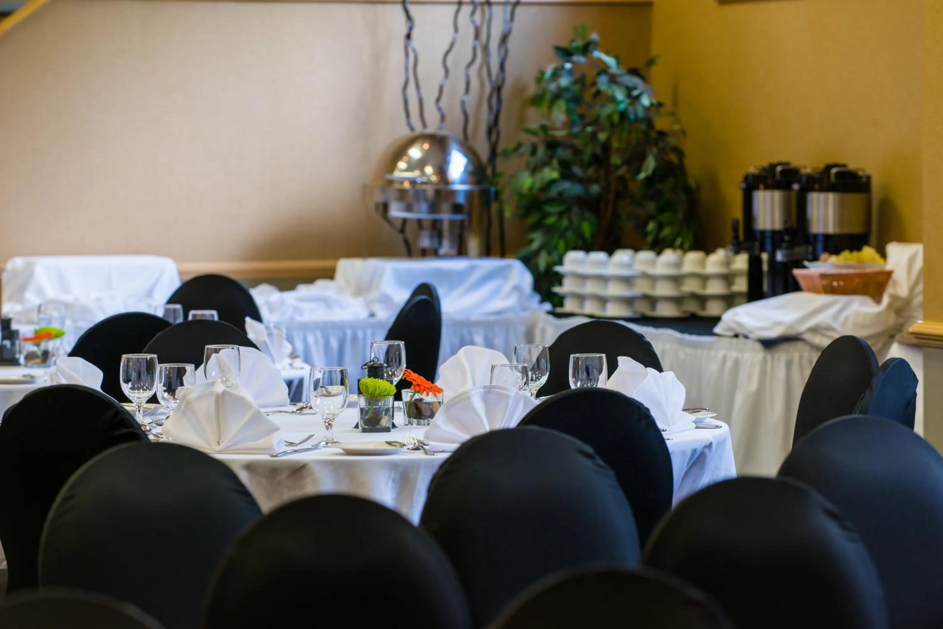 wedding in Hidden Valley Resort, an Ascend Collection Resort