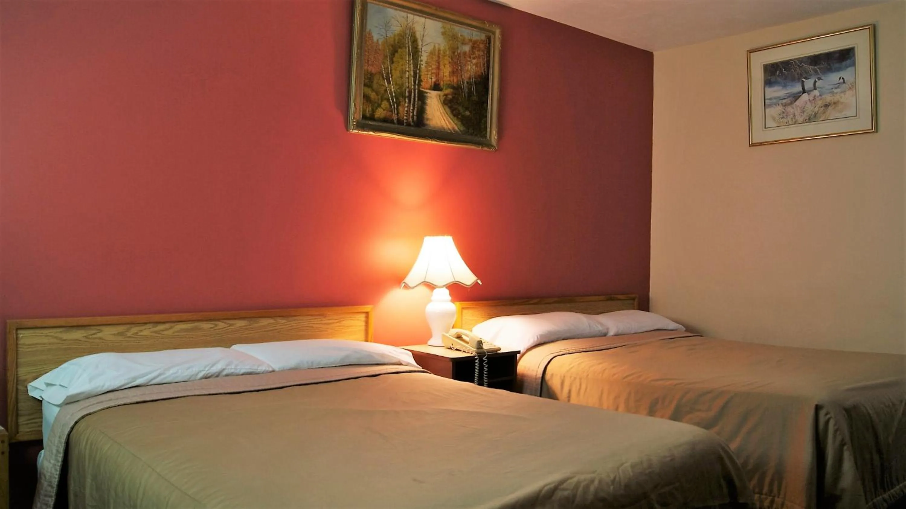 Bed in Blue Jay Motel