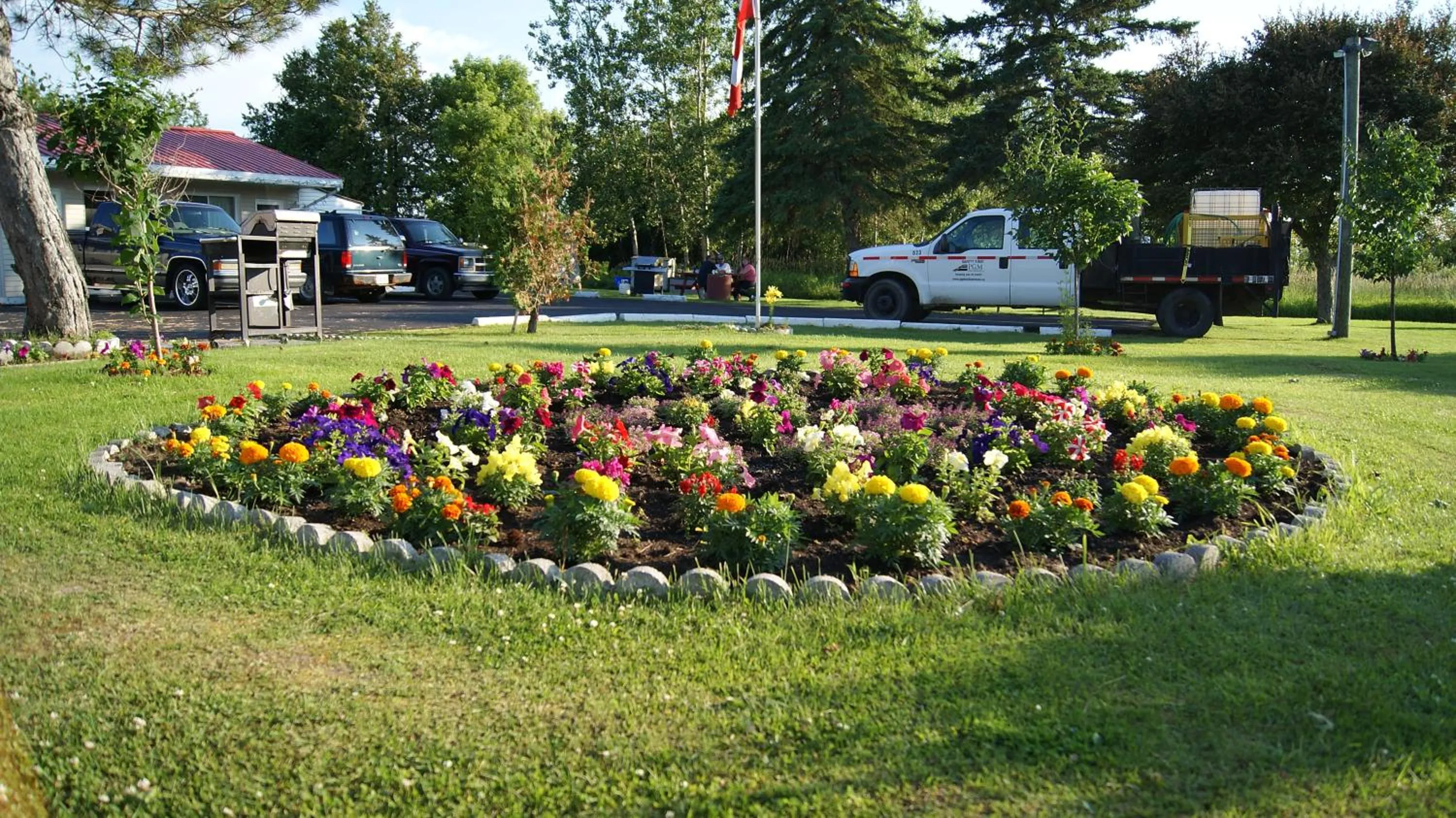 Natural landscape in Blue Jay Motel