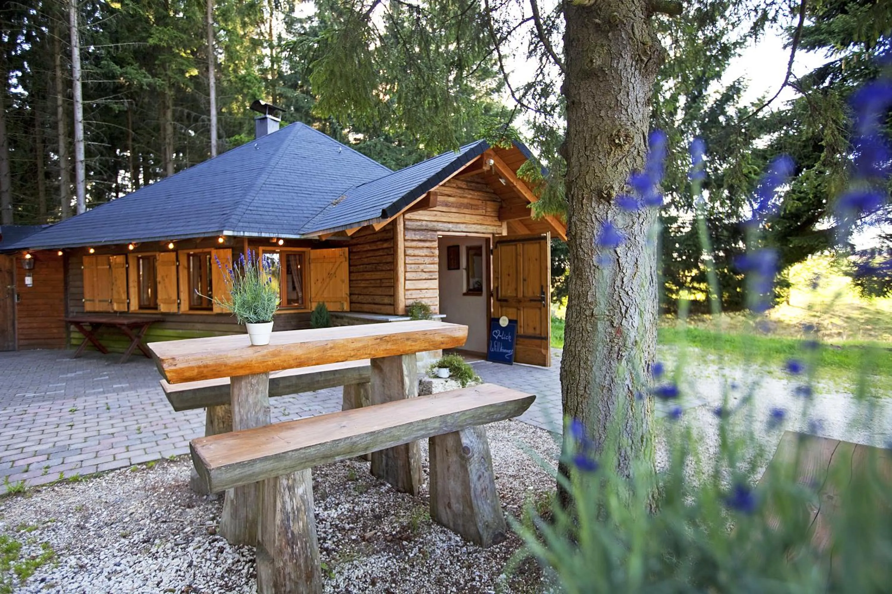 Property building in Widmann's Löwen