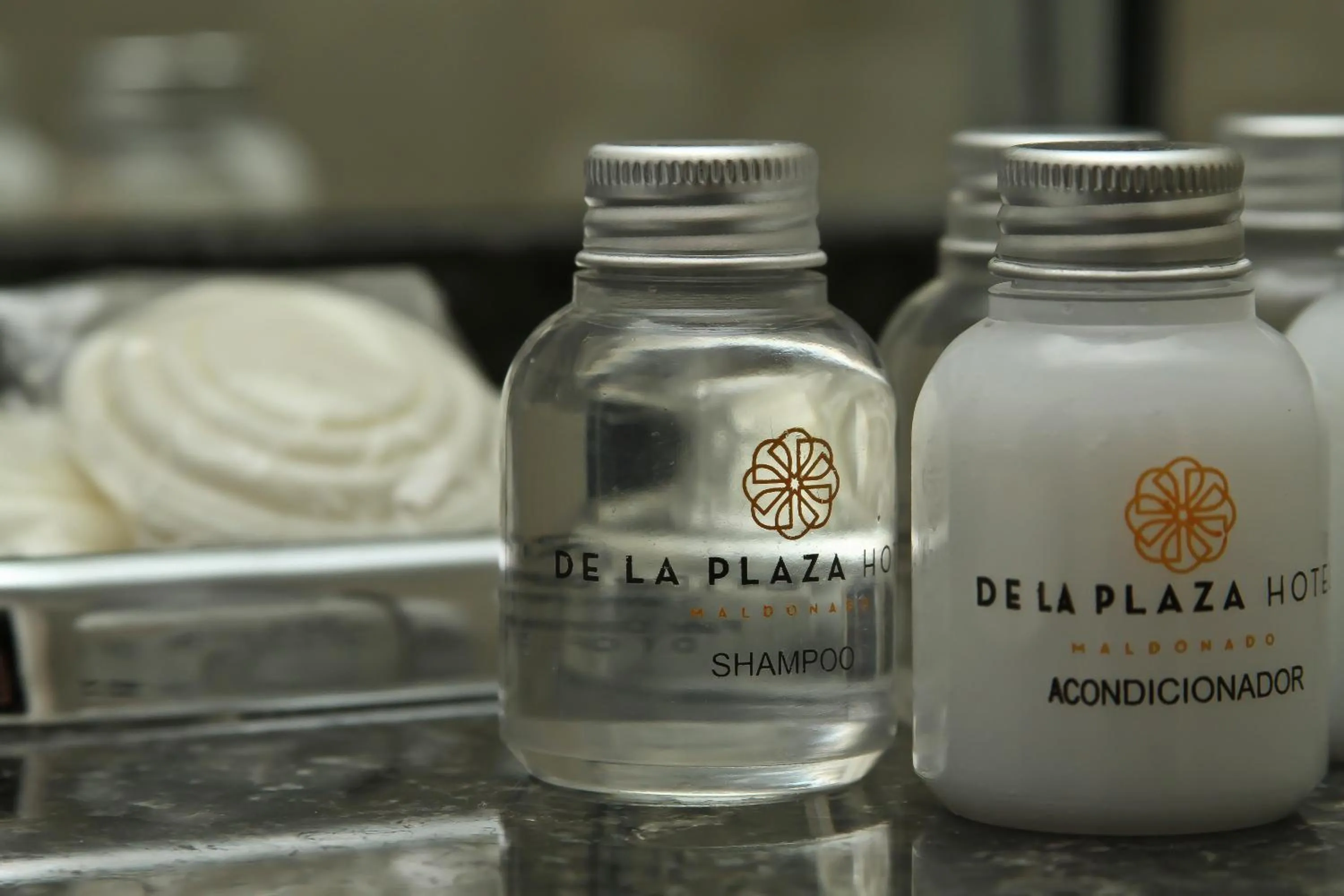 Decorative detail in De la Plaza Hotel