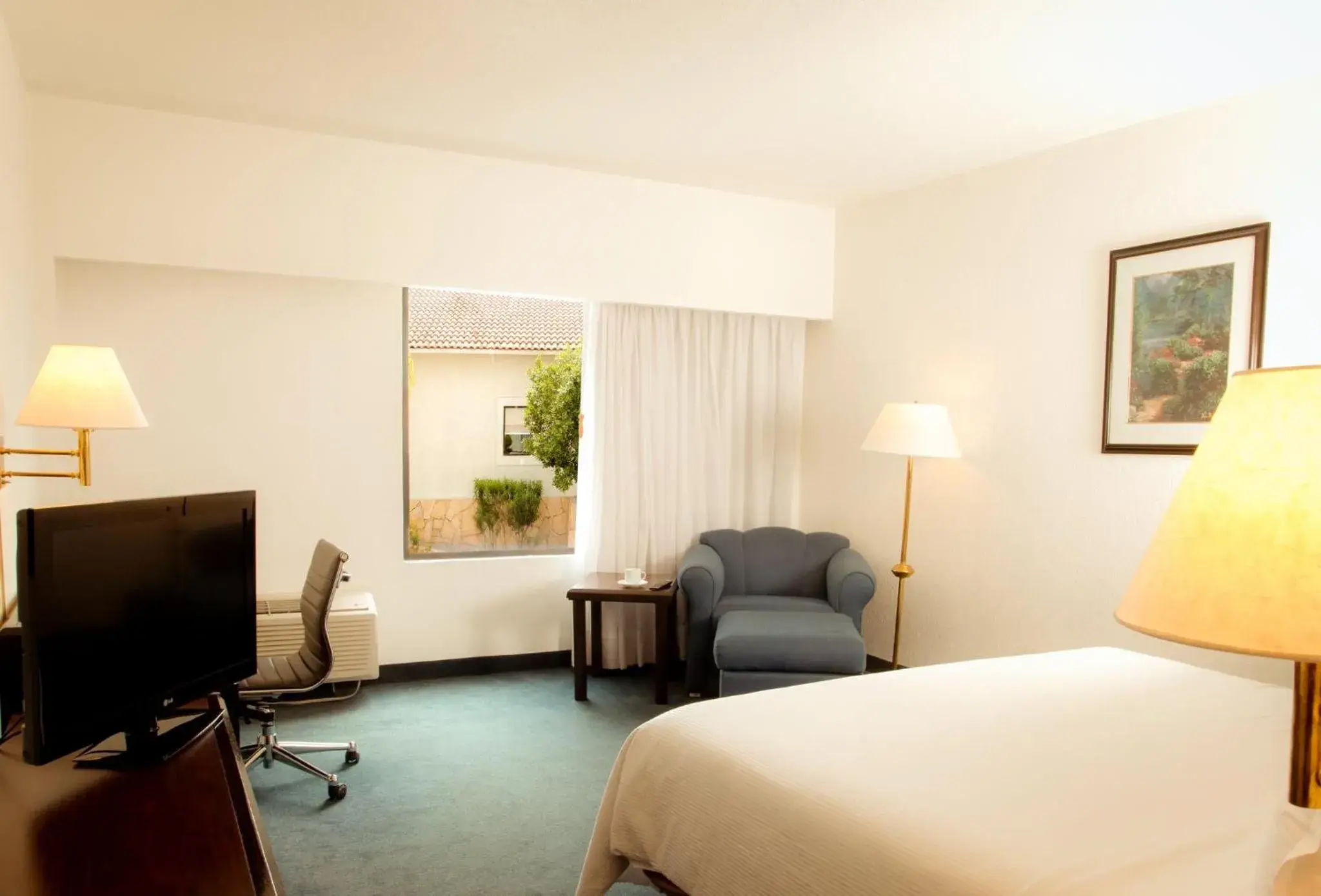 King Room in Fiesta Inn Monclova King Room in Fiesta Inn Monclova