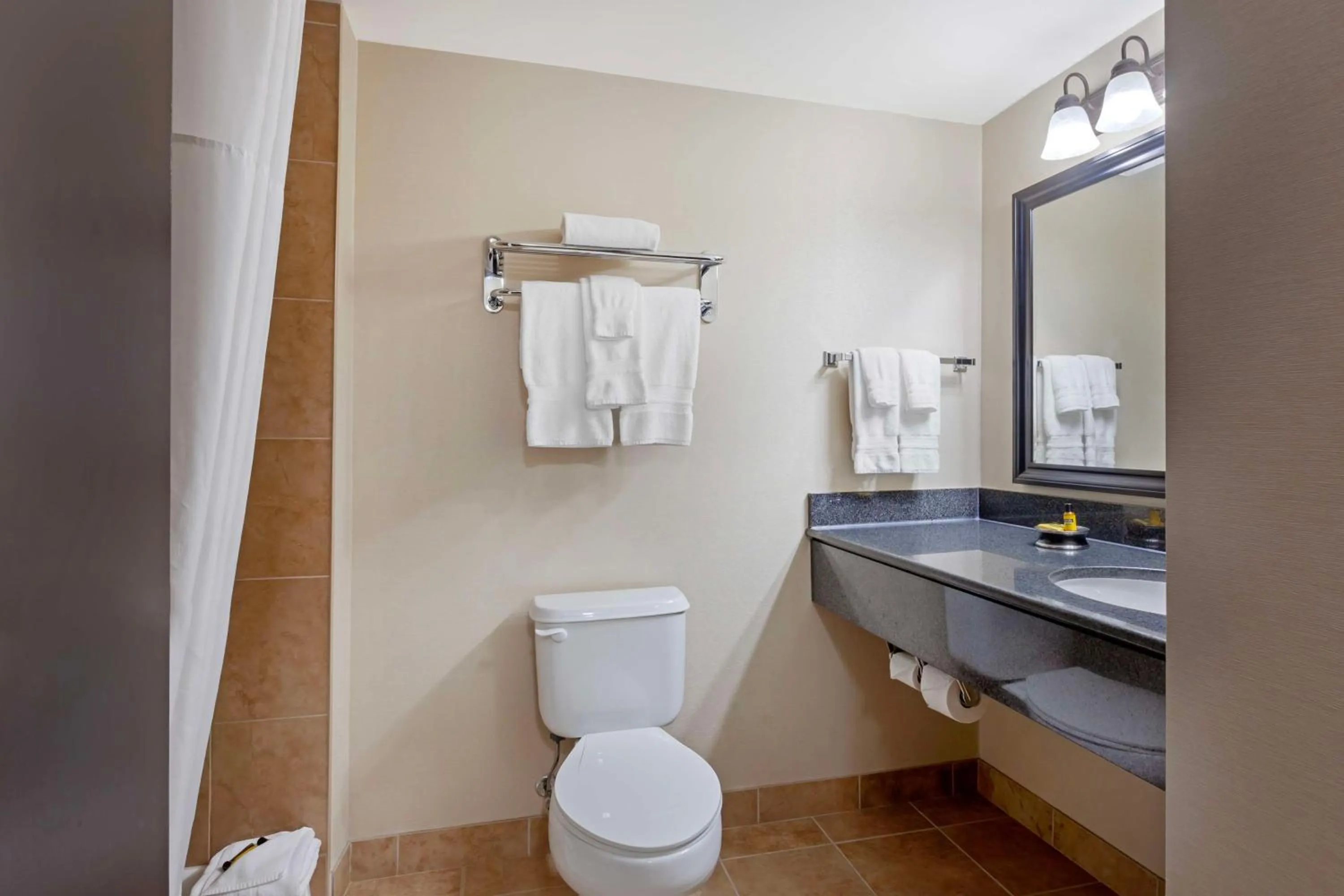 Bathroom in Best Western Plus Muskoka Inn