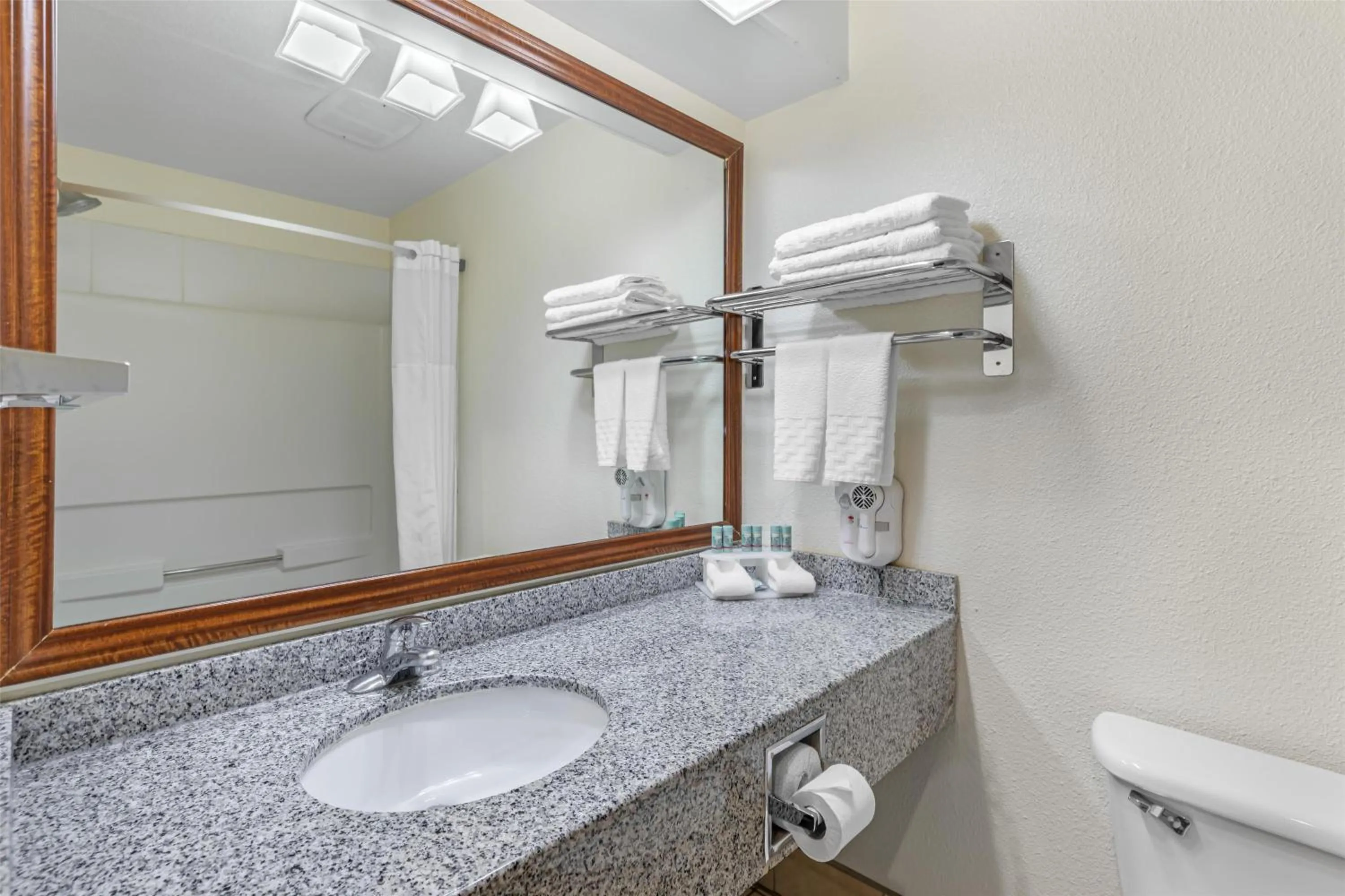 Bathroom in Best Western Firestone Inn & Suites