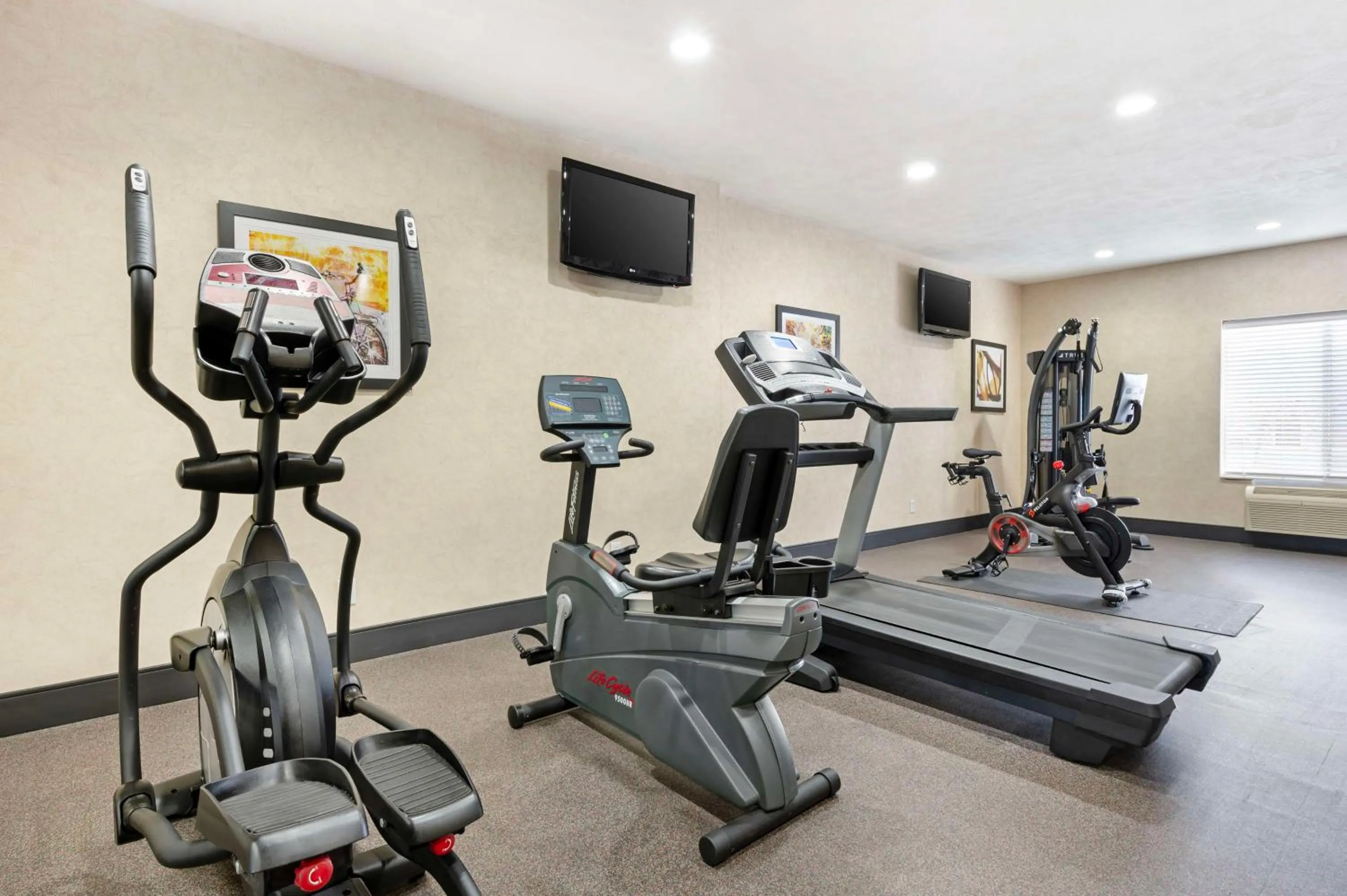 Fitness centre/facilities in Best Western Plus Howe Inn