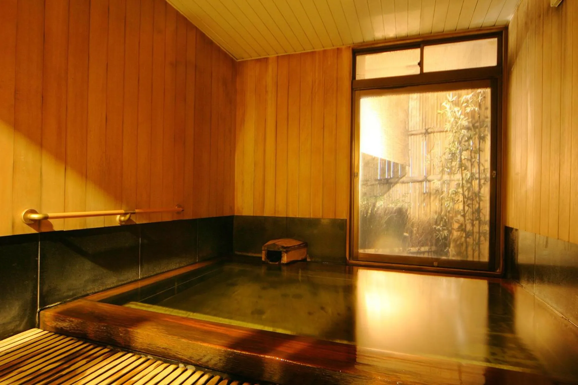 Hot Spring Bath in Hotel Danrokan