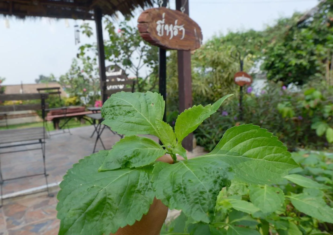 Ayutthaya Garden River Home