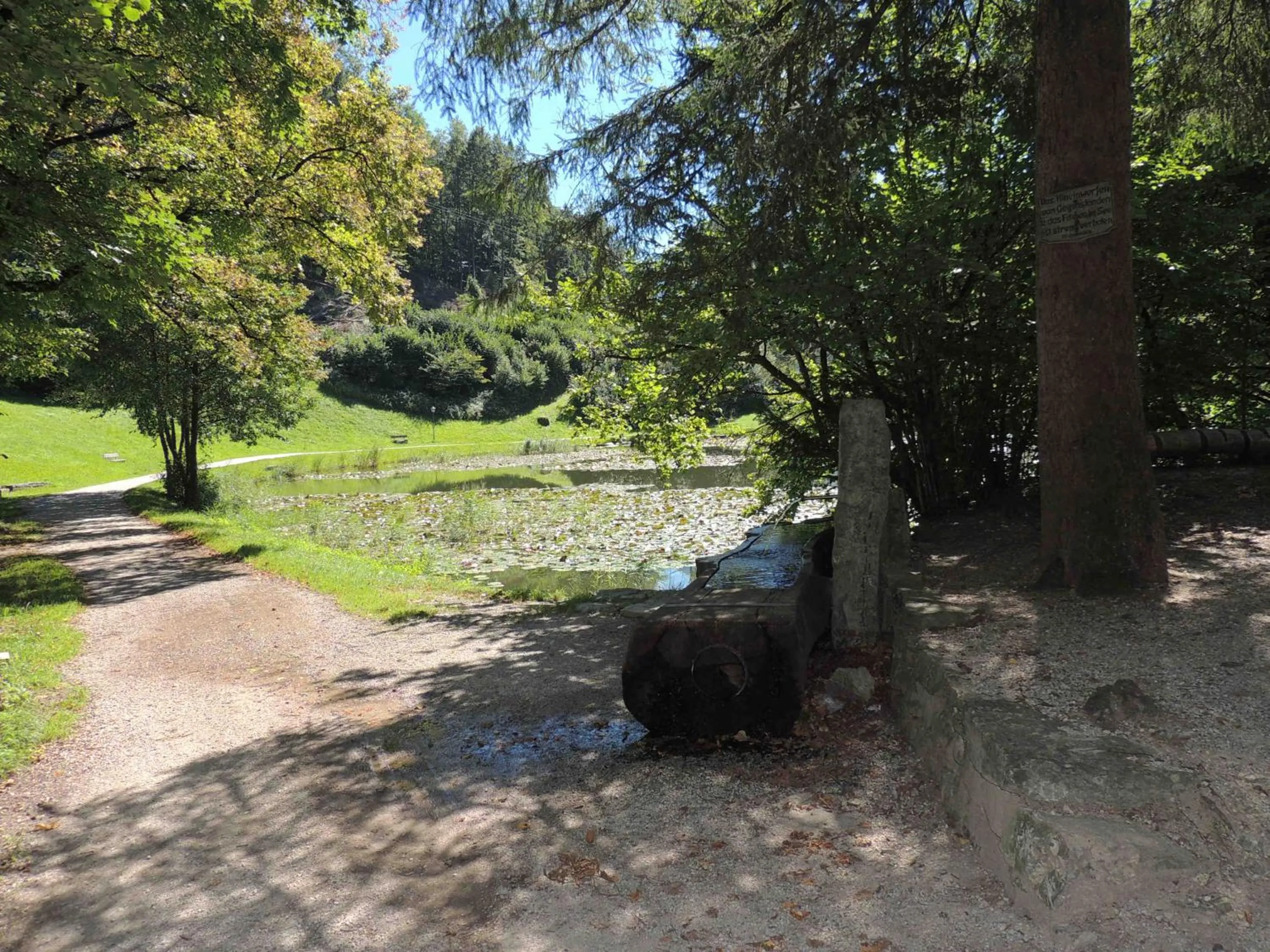 Natural landscape in Hotel Adler