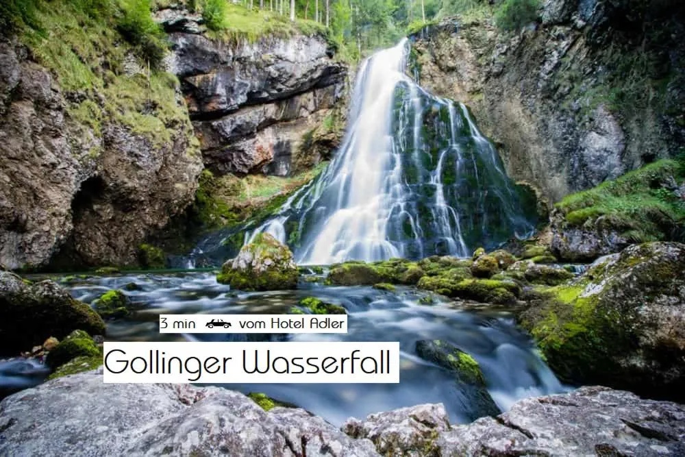 Natural landscape in Hotel Adler