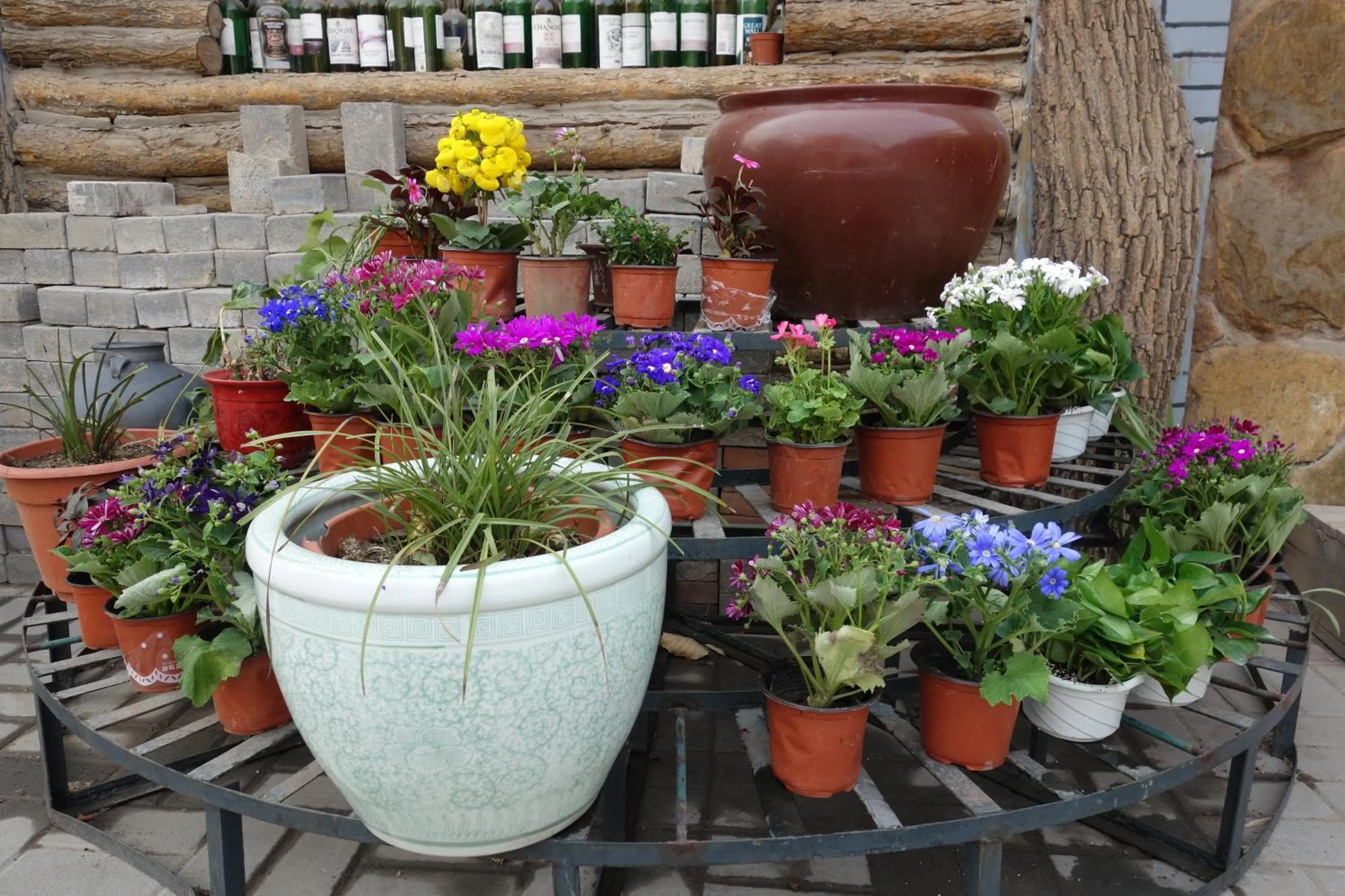 Garden, Patio/Outdoor Area in Ming Courtyard