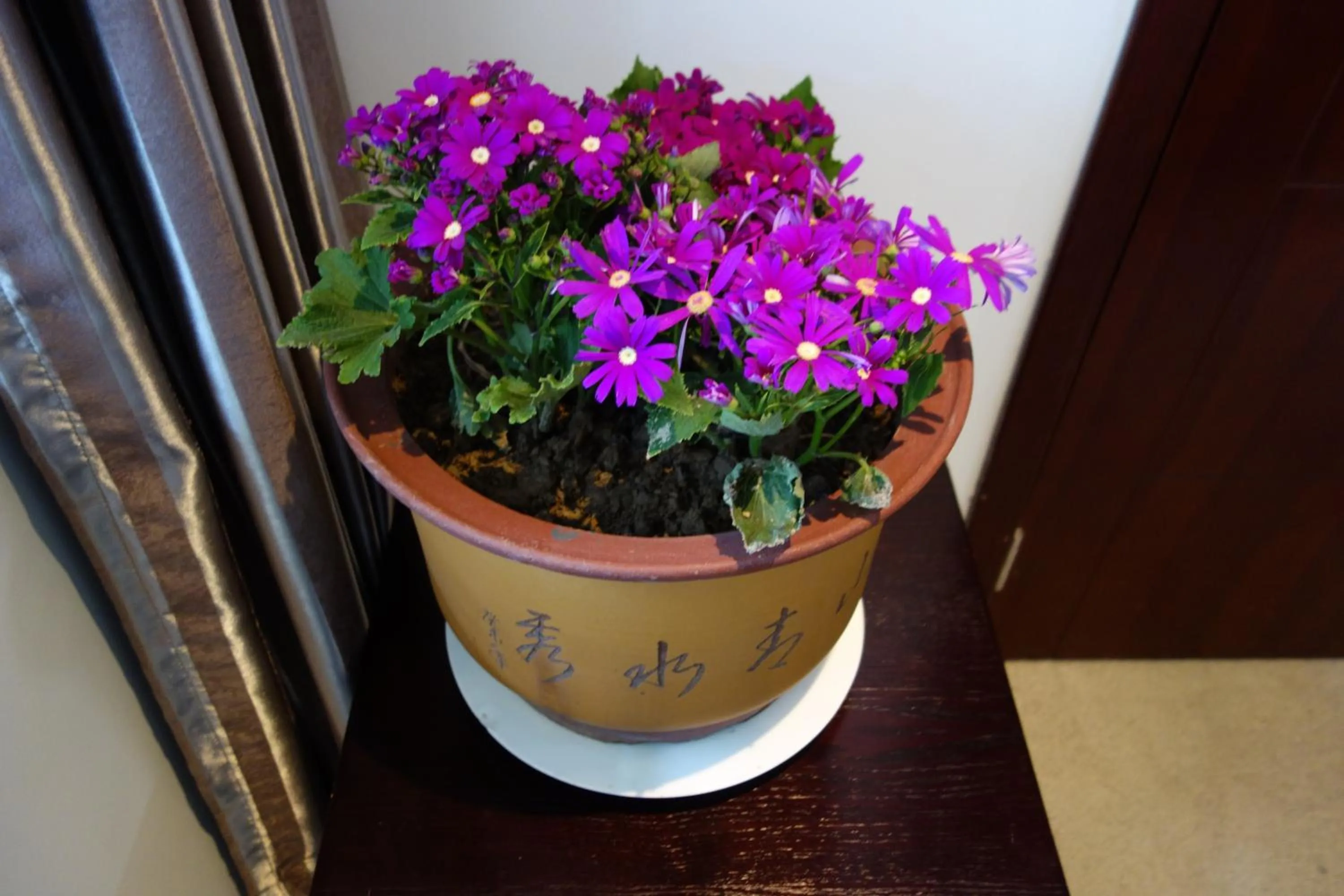 Other in Ming Courtyard