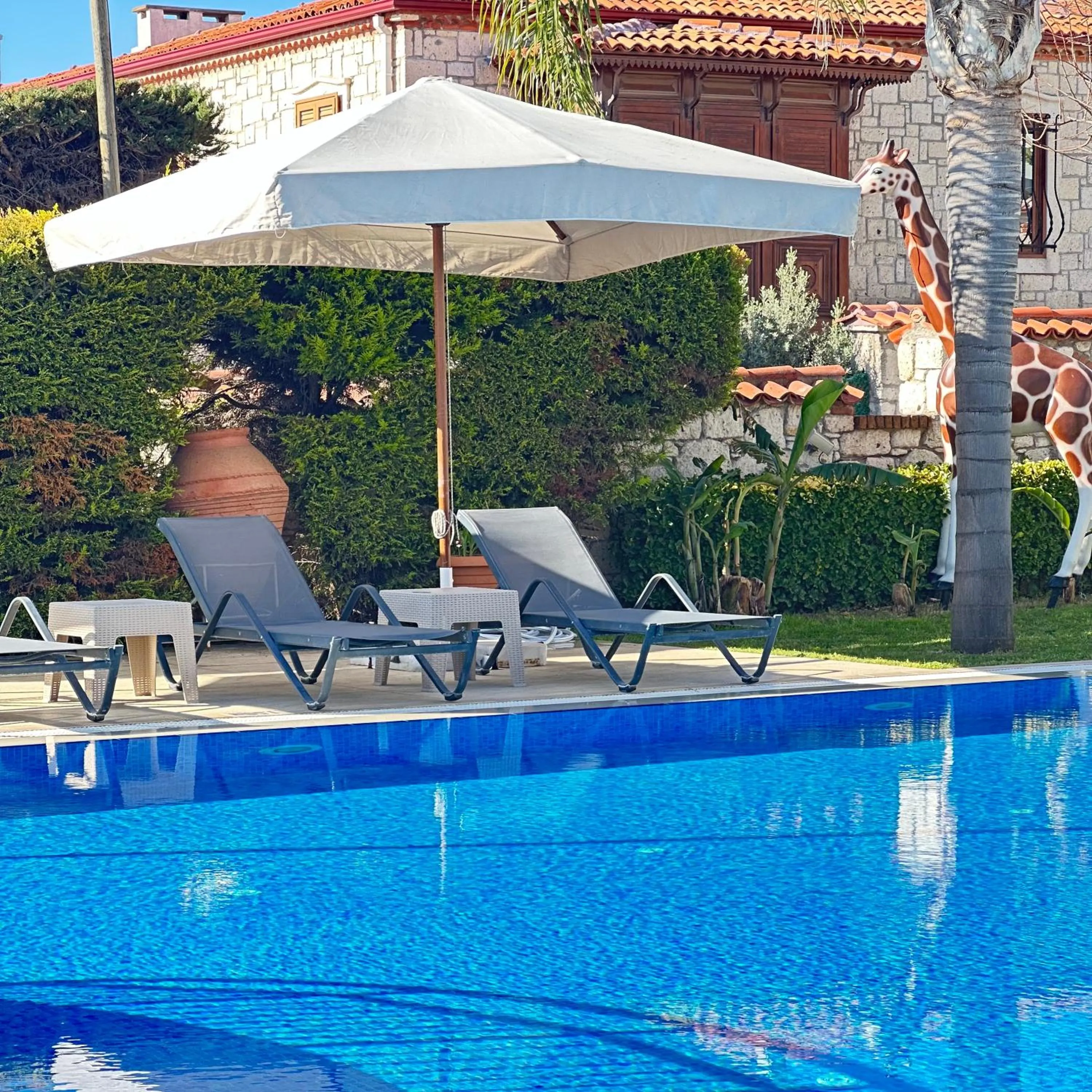 Swimming pool in Imren Han Hotel - Special Category