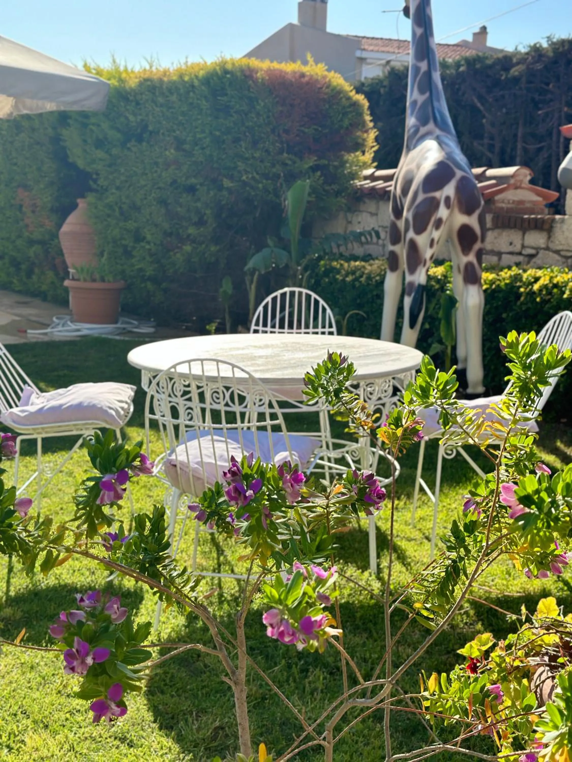 Garden in Imren Han Hotel - Special Category